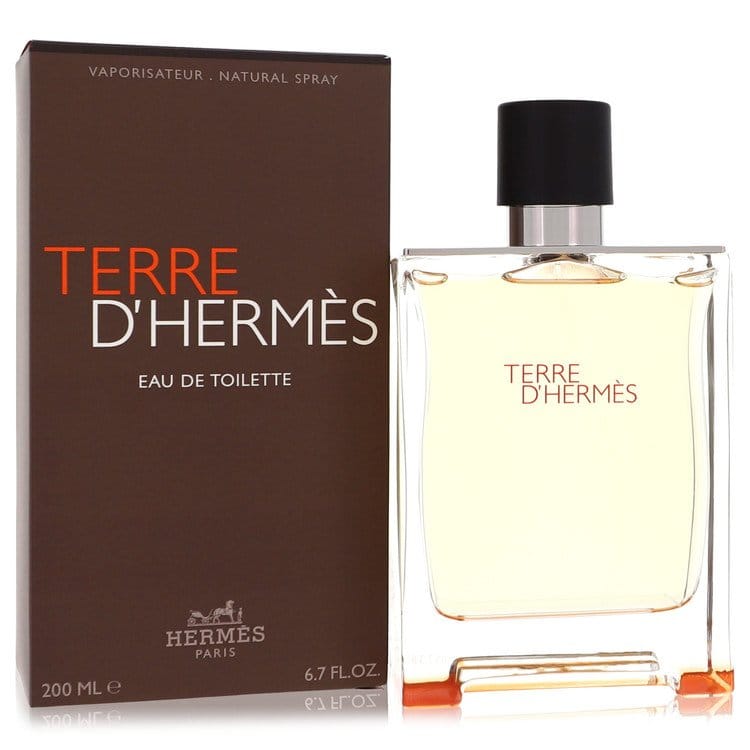 Hermes Terre D'hermes by Hermes - Eau De Toilette for Men