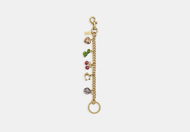 Coach Motif Chain Bag Charm