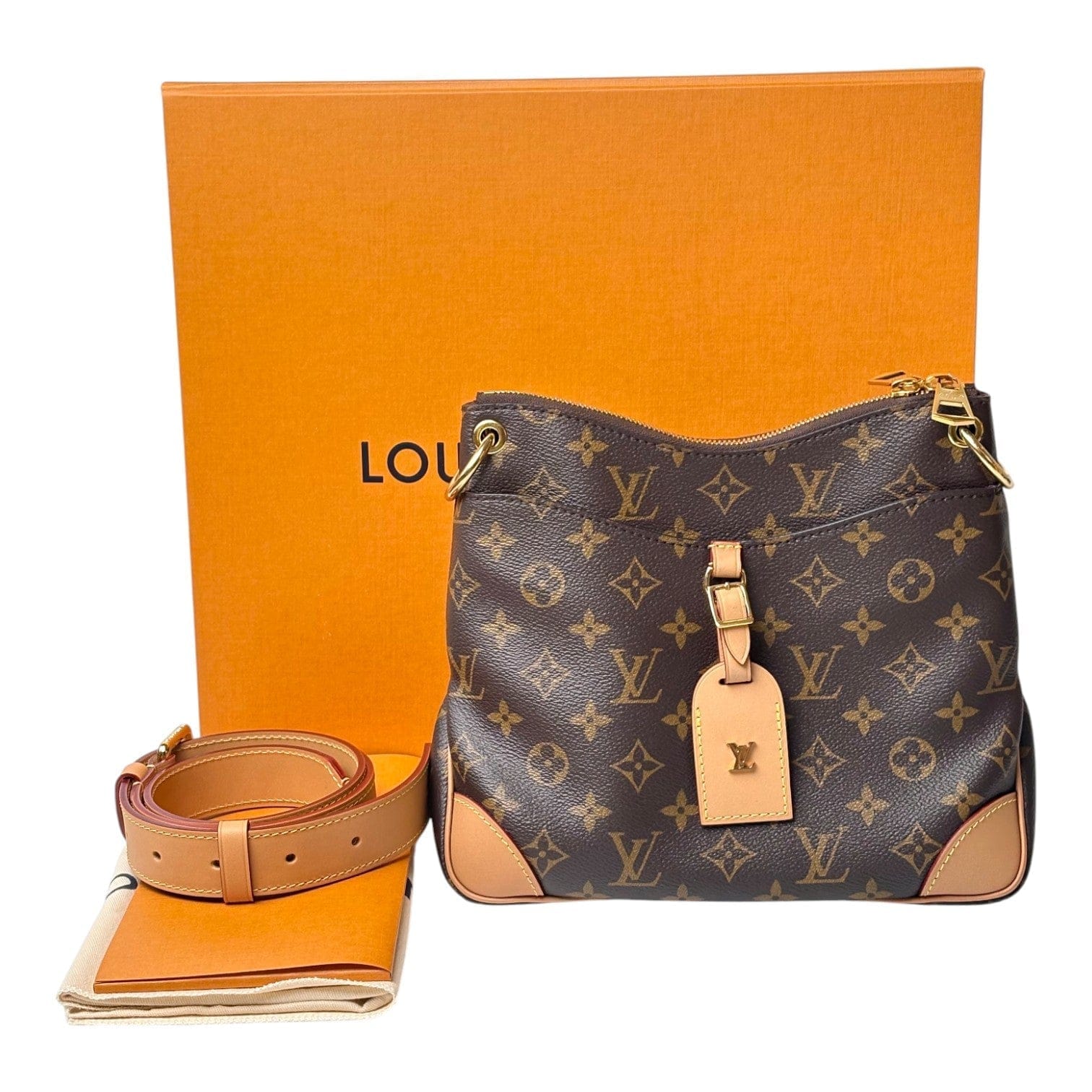 Louis Vuitton Odeon PM Hobo Bag