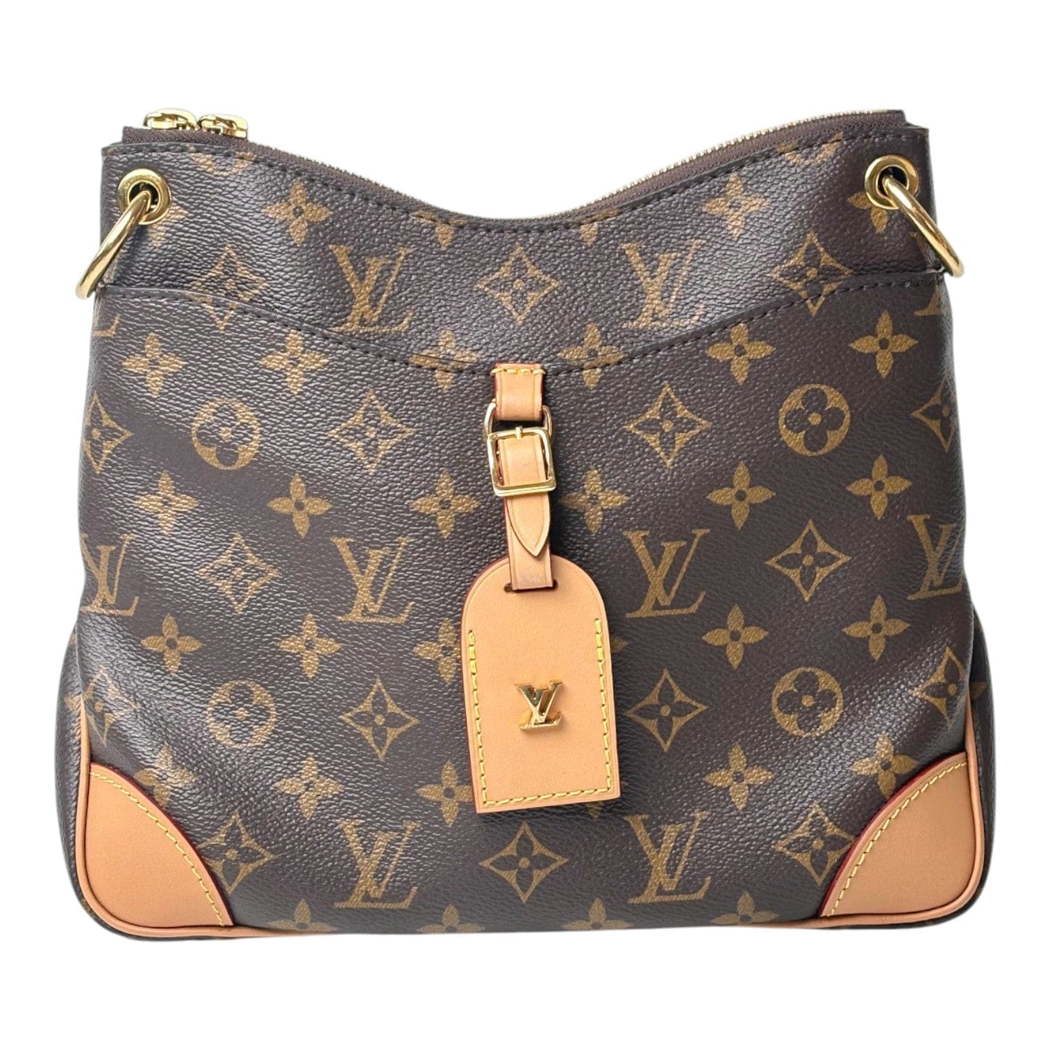 Louis Vuitton Odeon PM Hobo Bag