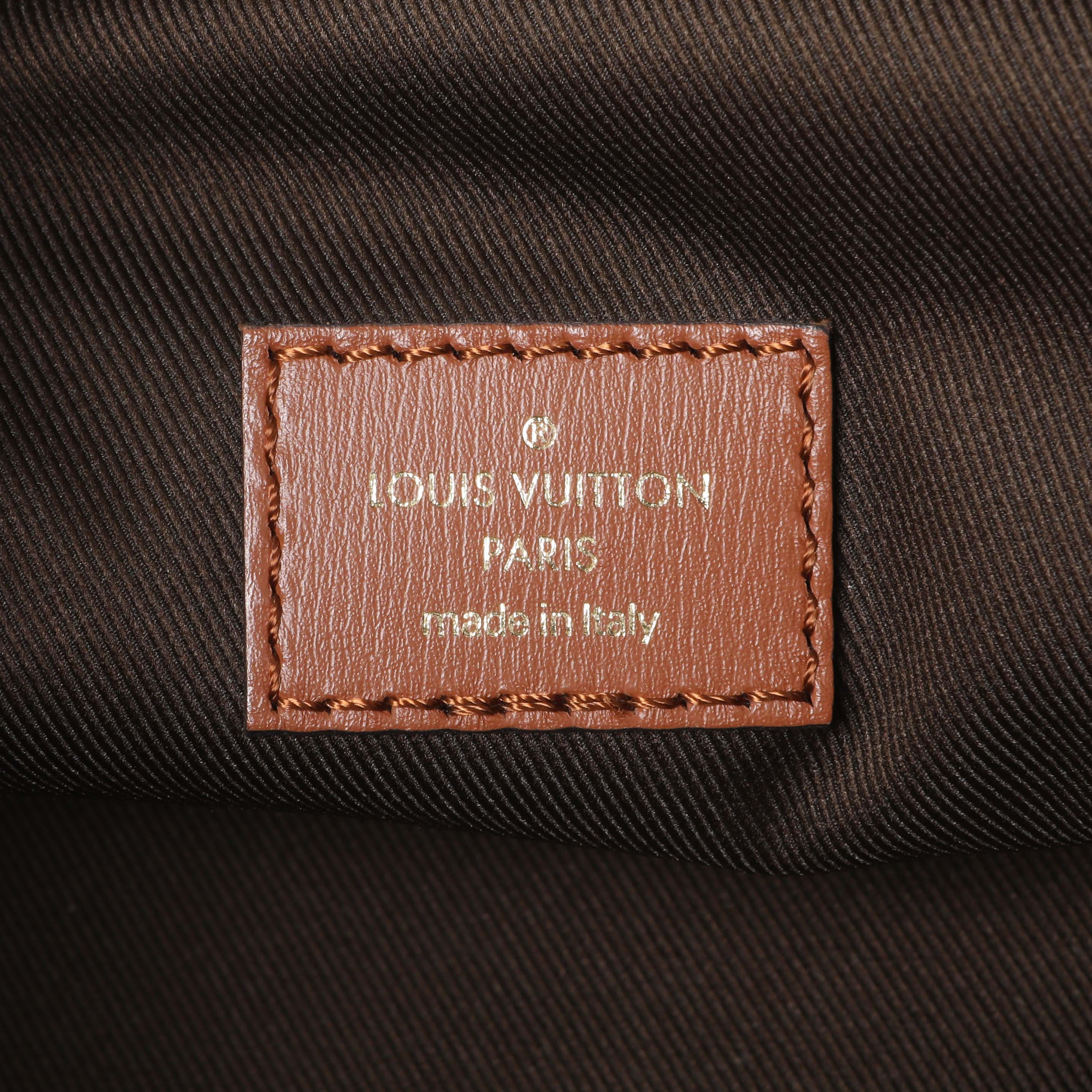 Louis Vuitton Reverse Monogram Loop Hobo