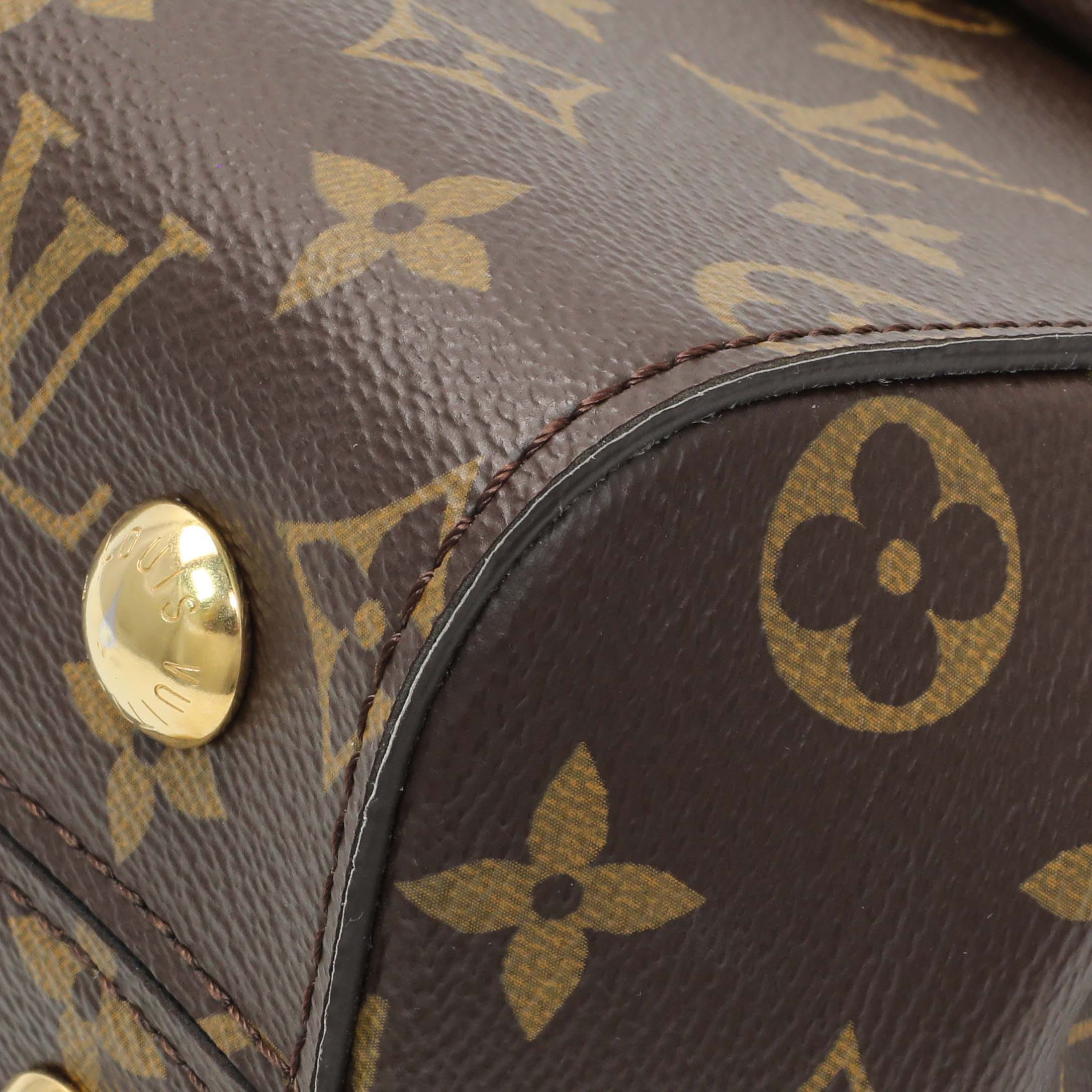 Louis Vuitton Monogram Cluny BB