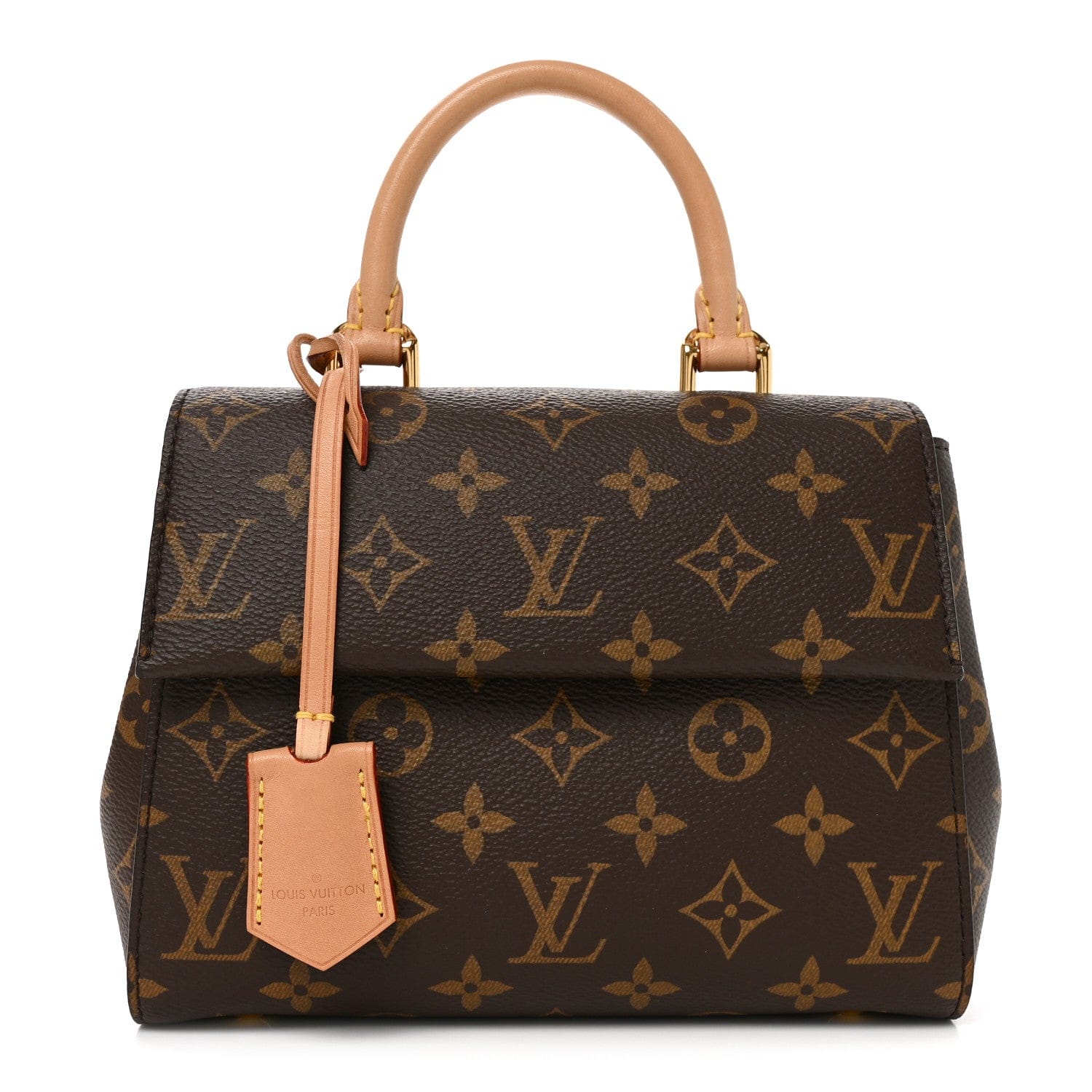 Louis Vuitton Monogram Mini Cluny