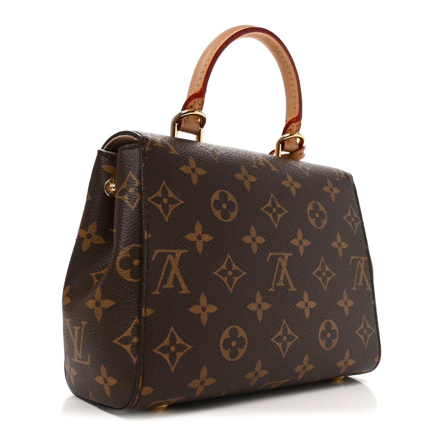 Louis Vuitton Monogram Mini Cluny