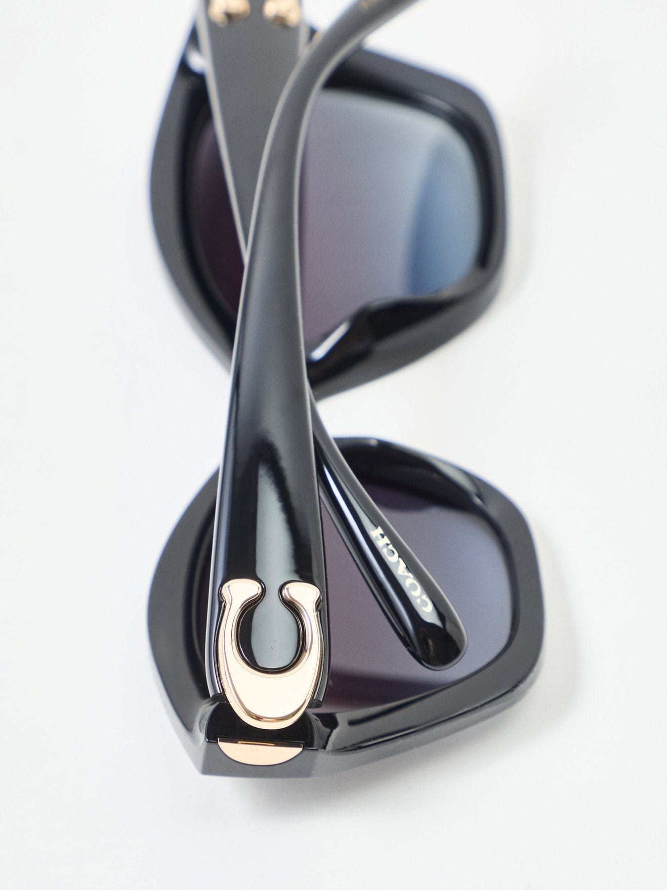 Coach 0HC8421U Cat Eye Sunglasses Black