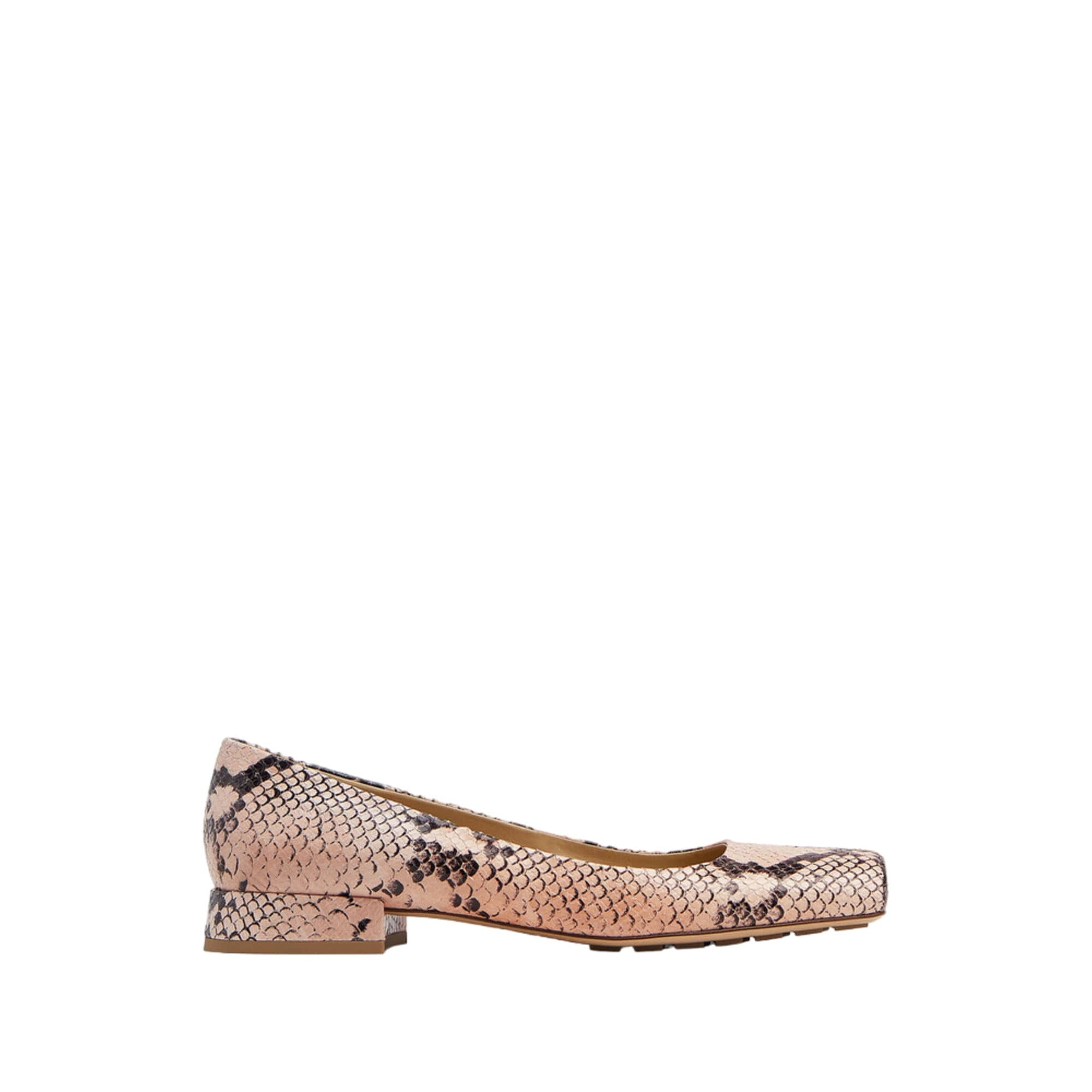 Bottega Veneta Tower Python - Print Ballerina Shoes