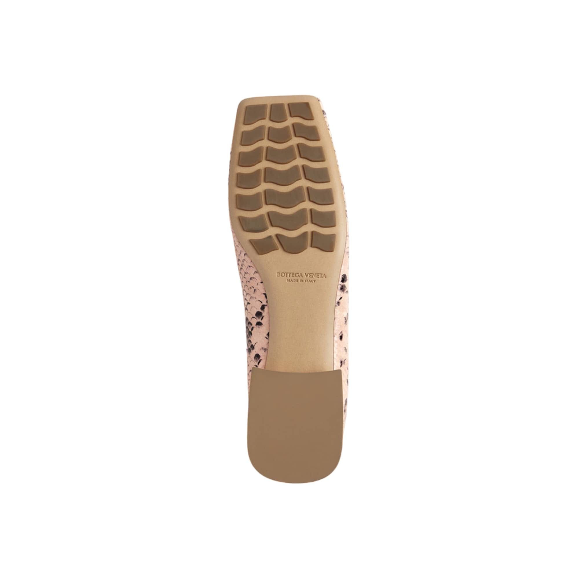 Bottega Veneta Tower Python - Print Ballerina Shoes