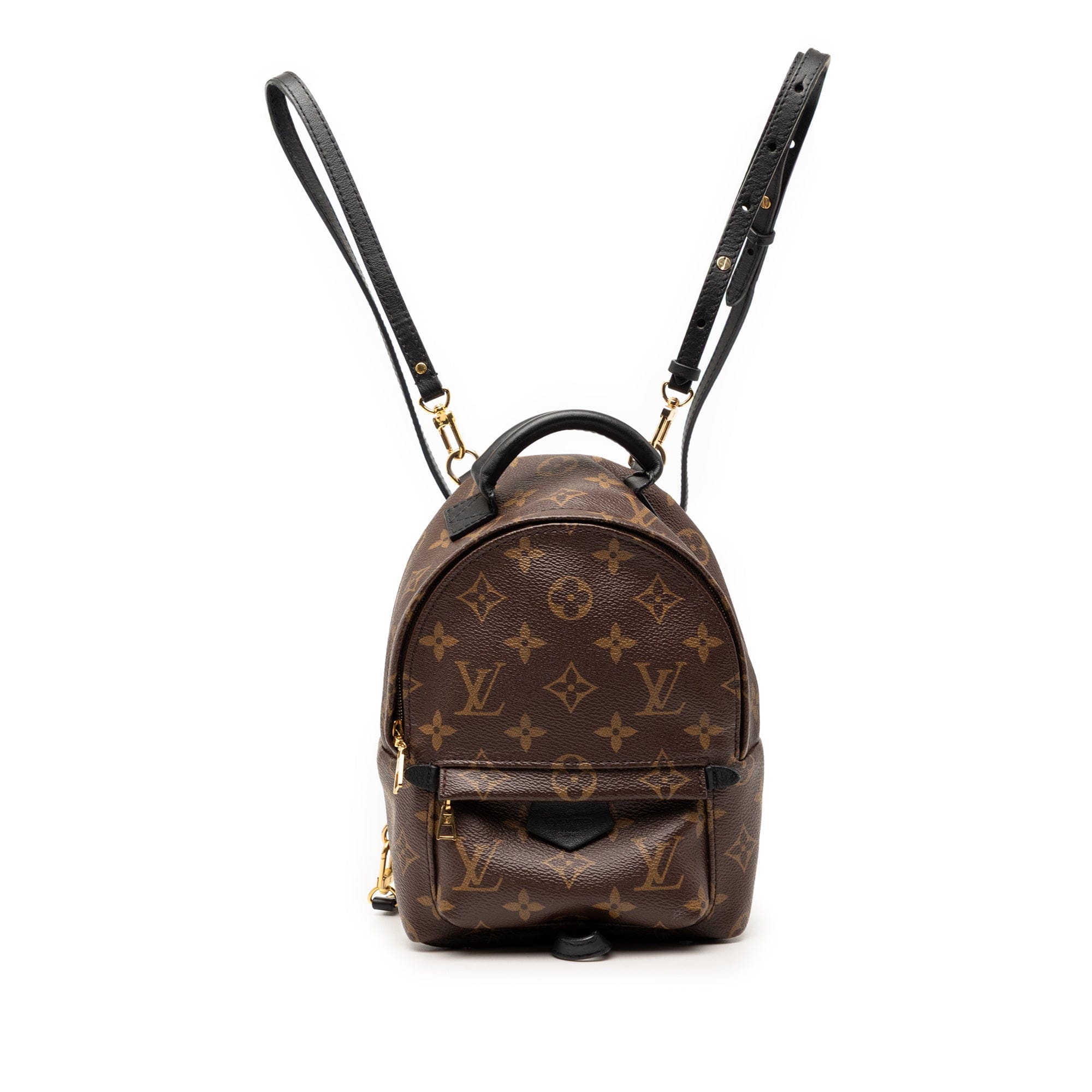 Louis Vuitton Monogram Mini Palm Springs
