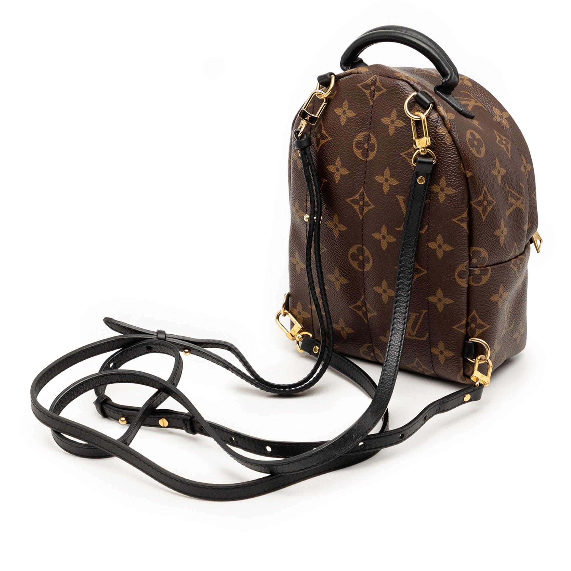 Louis Vuitton Monogram Mini Palm Springs