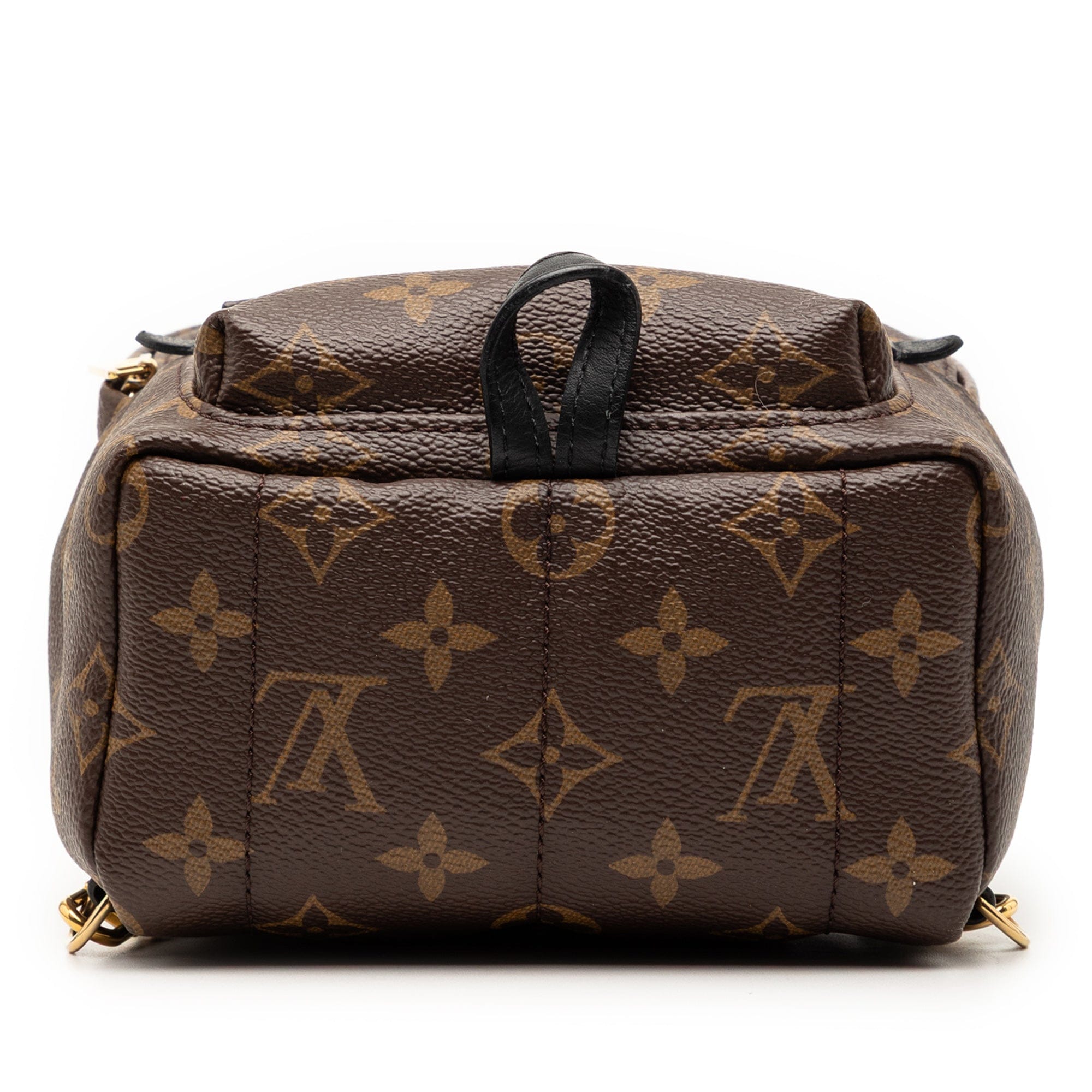 Louis Vuitton Monogram Mini Palm Springs