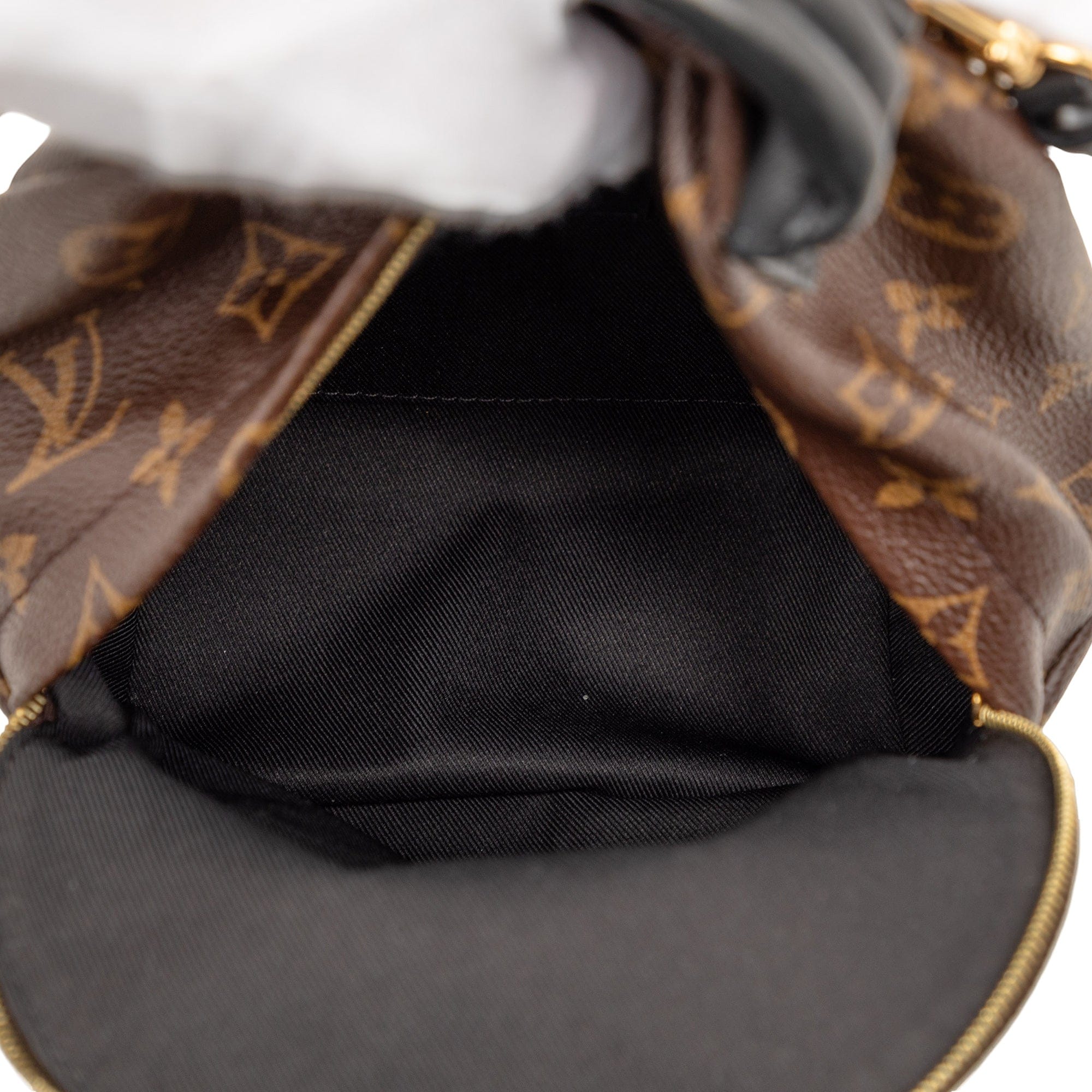 Louis Vuitton Monogram Mini Palm Springs