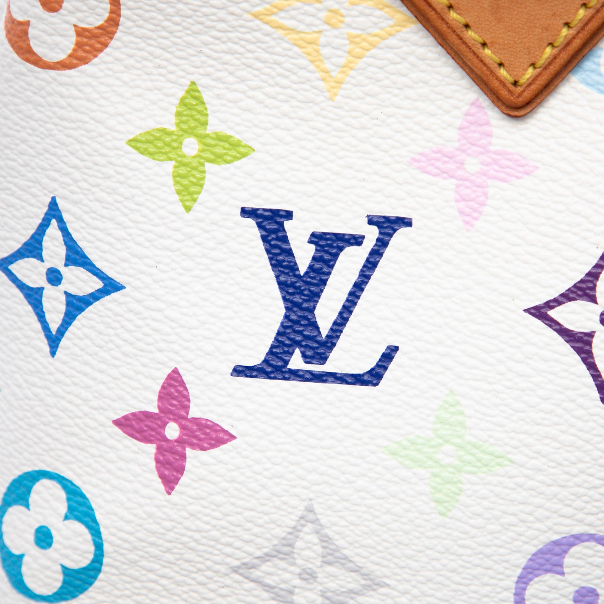 Louis Vuitton Monogram Multicolore Audra