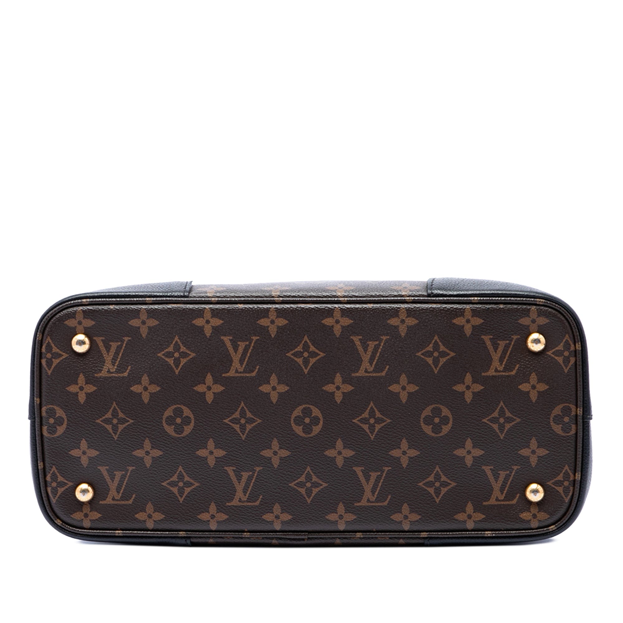 Louis Vuitton Monogram Flandrin
