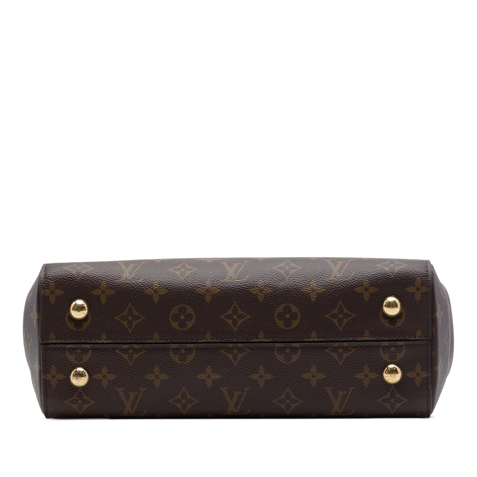 Louis Vuitton Monogram Cluny MM