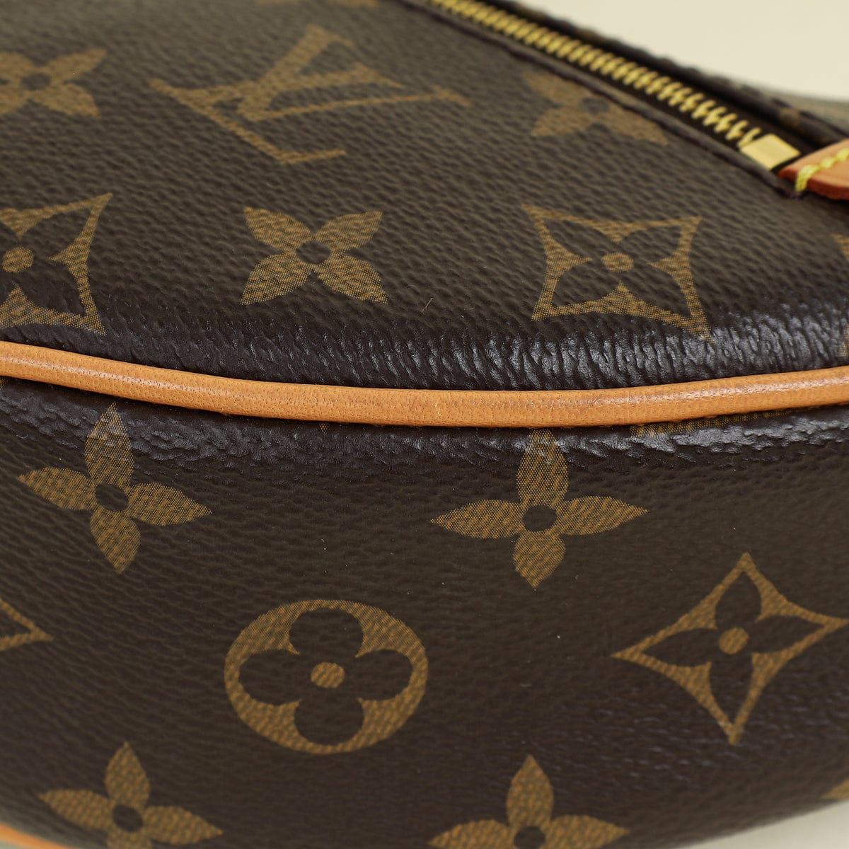 Louis Vuitton Brown Monogram Loop Bag
