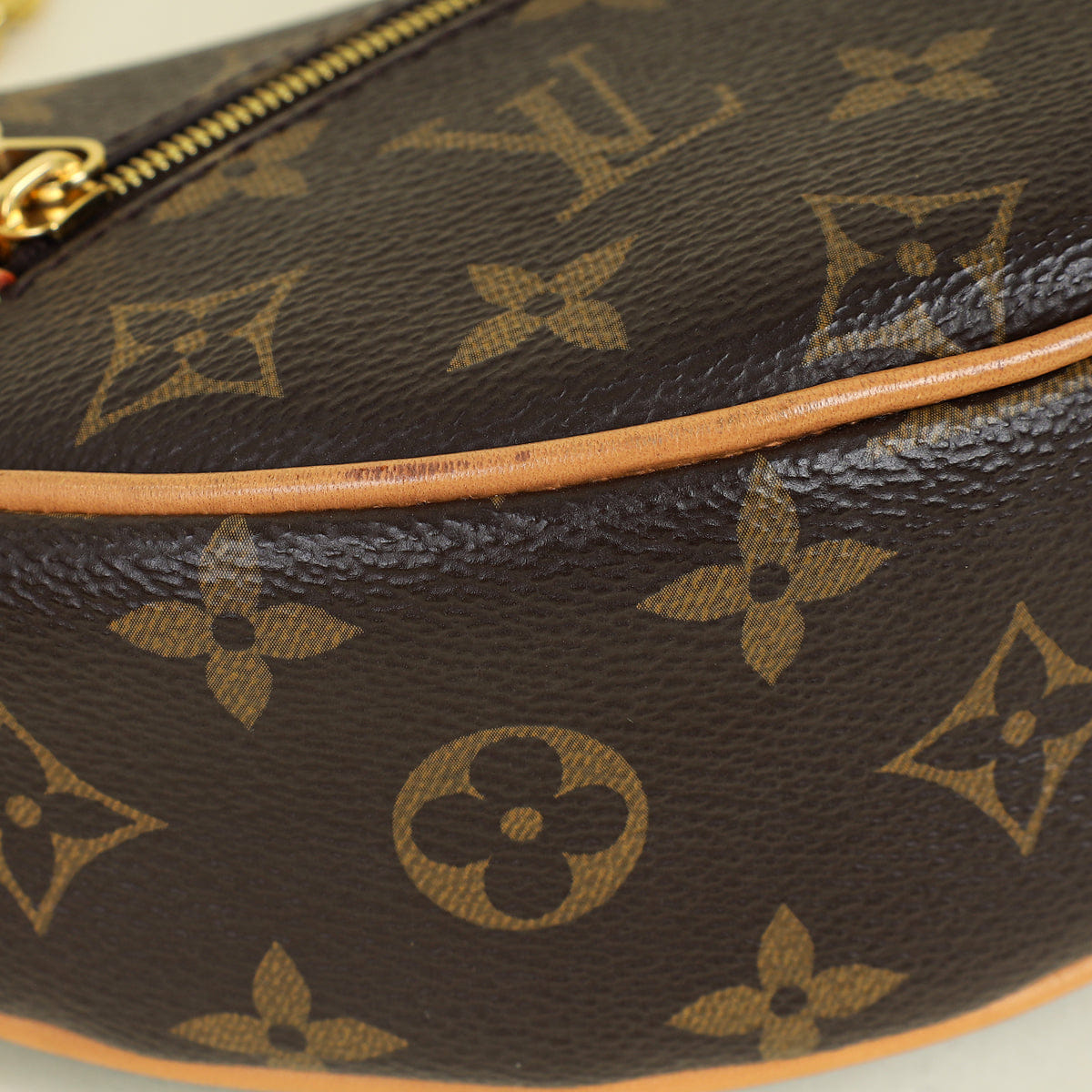 Louis Vuitton Brown Monogram Loop Bag