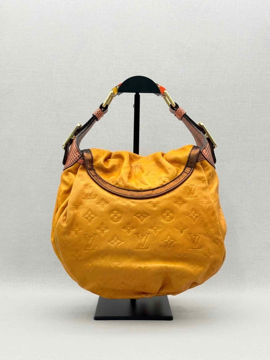 Louis Vuitton Kalahari Mustard Hobo bag