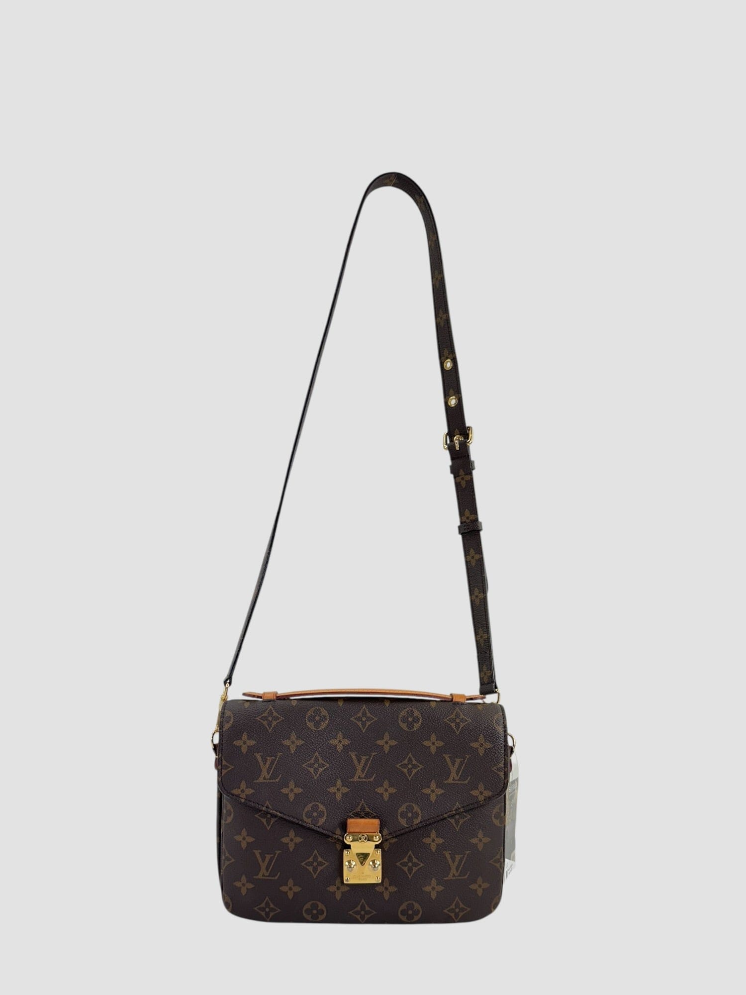 Louis Vuitton Monogram Canvas Pochette Métis
