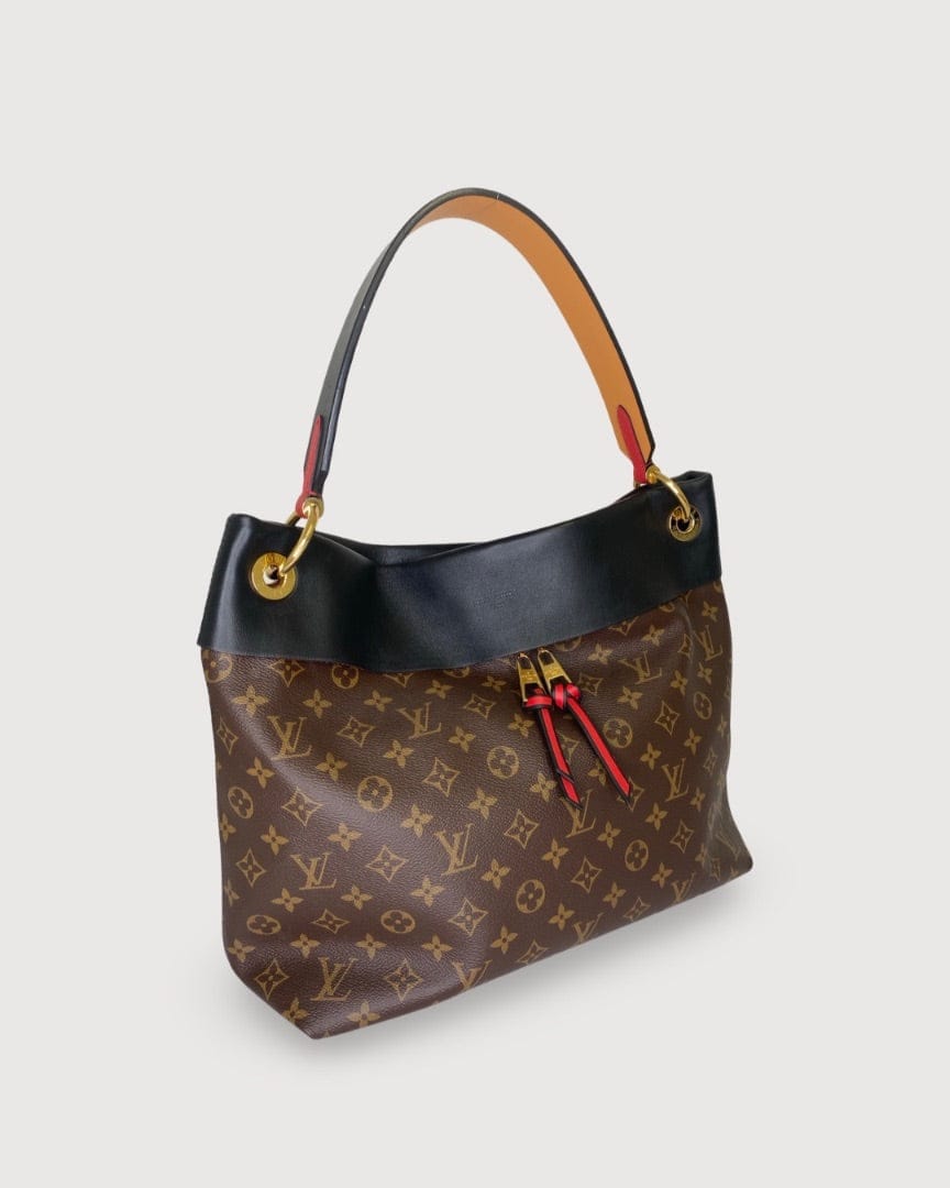 Louis Vuitton Brown Louis Vuitton Bag
