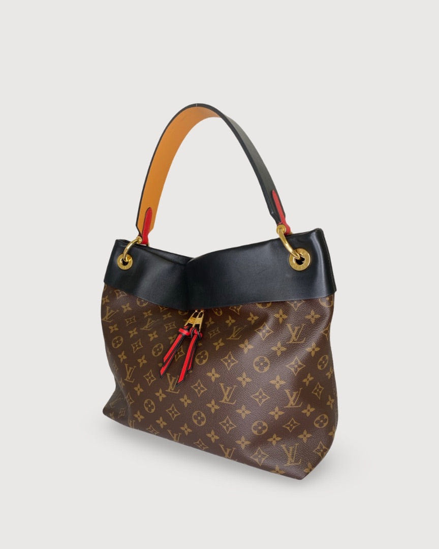 Louis Vuitton Brown Louis Vuitton Bag