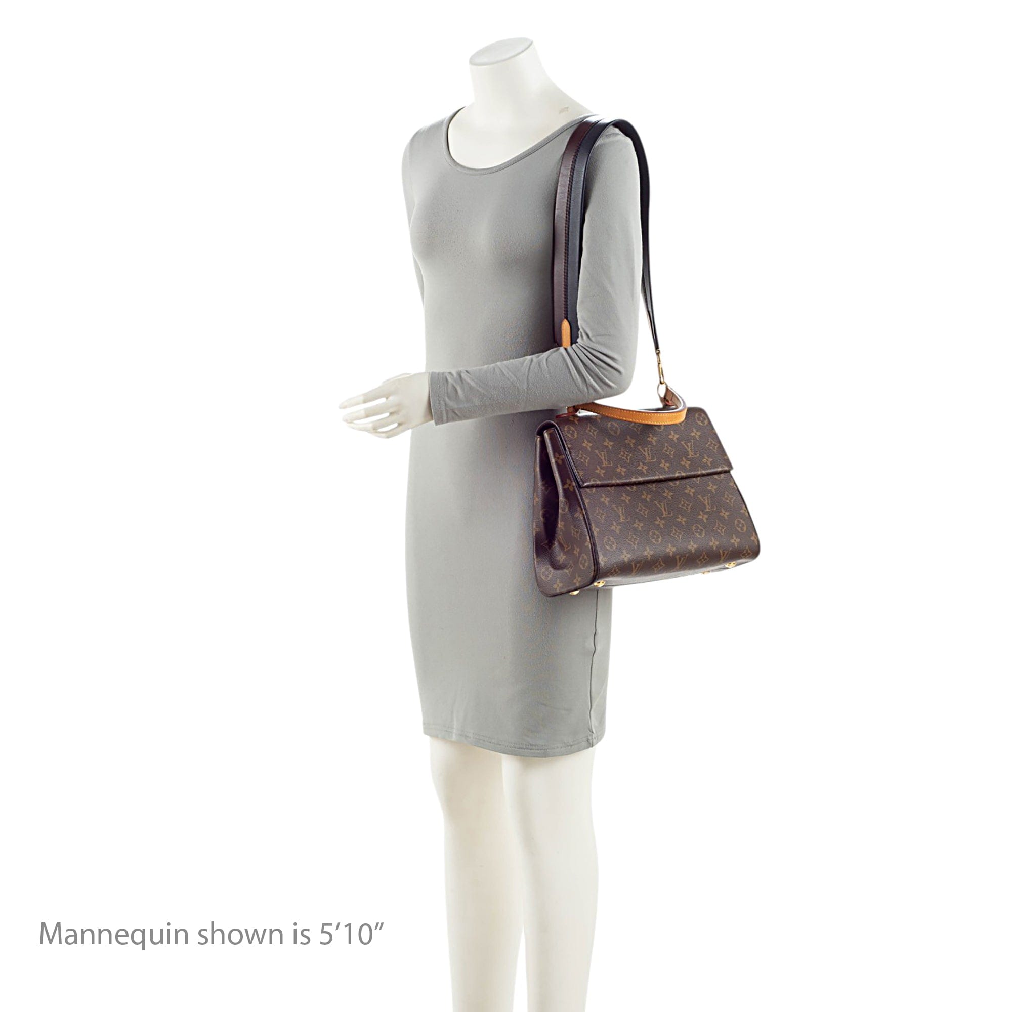 Louis Vuitton Monogram Canvas Cluny MM Satchel