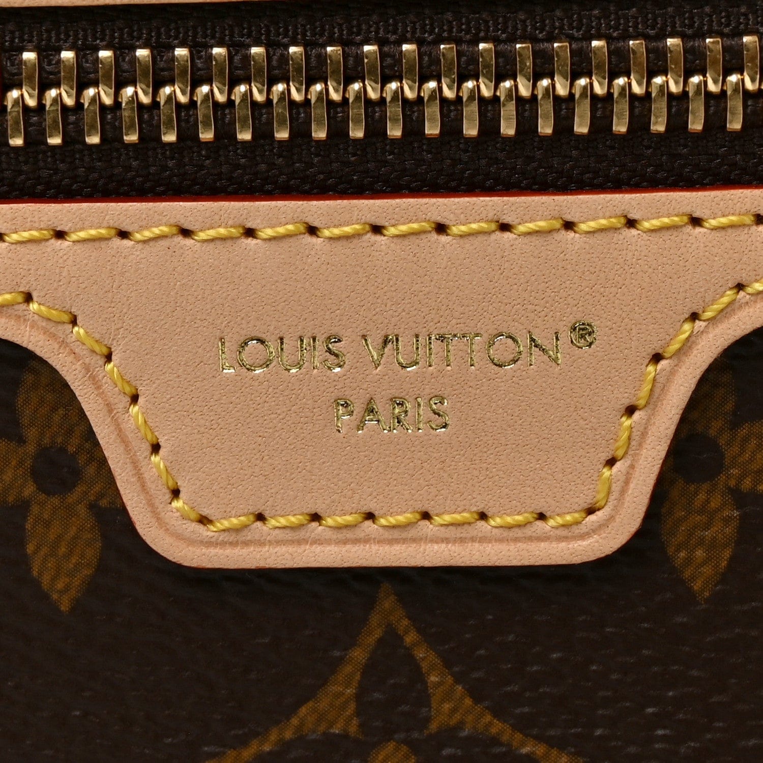 Louis Vuitton Monogram Lineup MM
