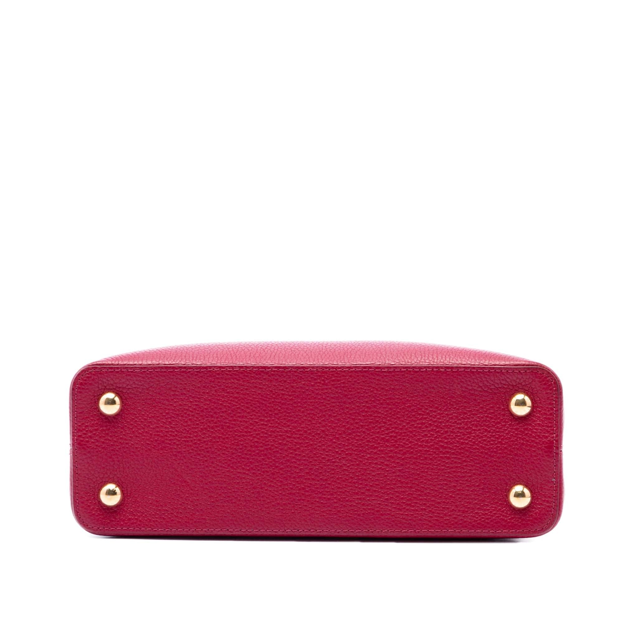 Louis Vuitton Tricolor Taurillon Capucines PM