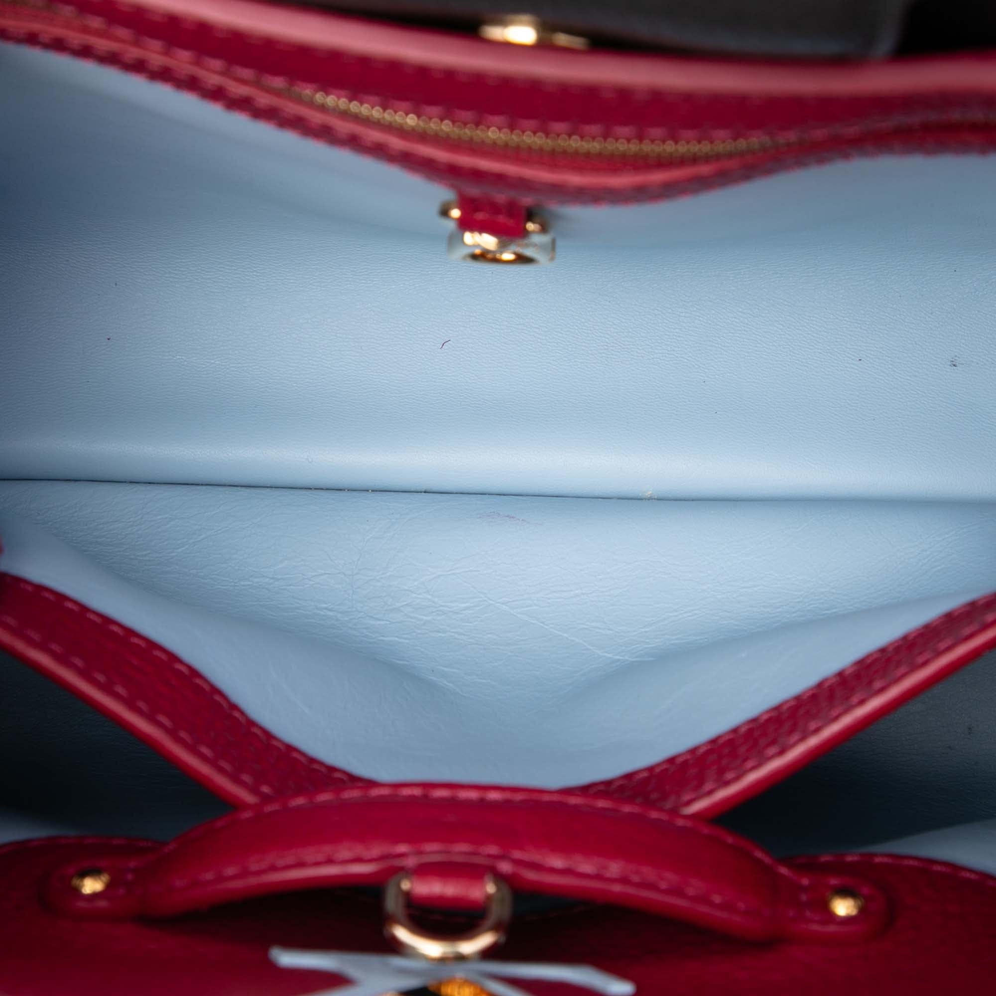 Louis Vuitton Tricolor Taurillon Capucines PM