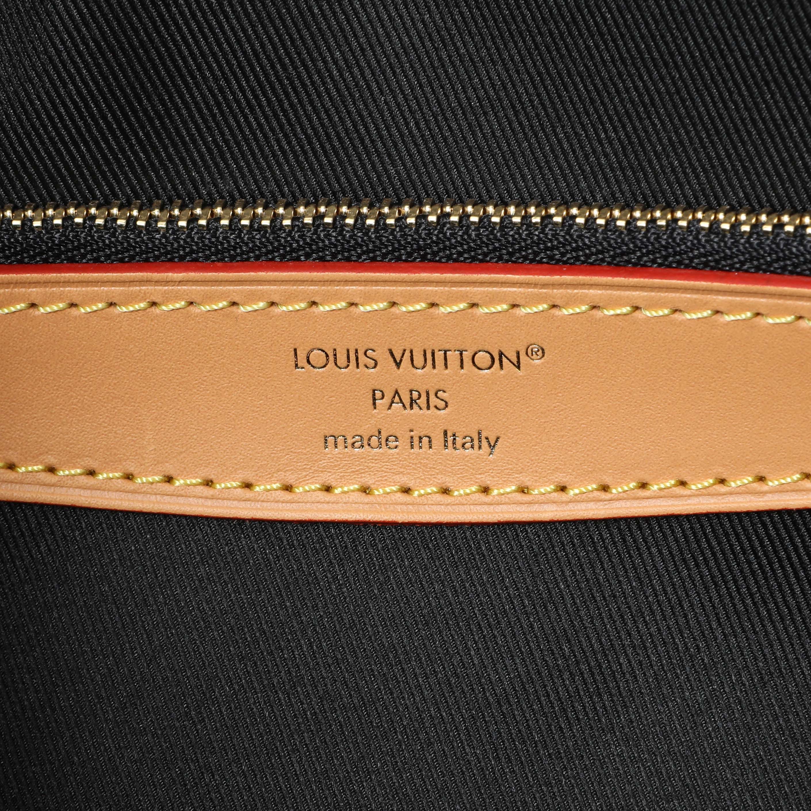 Louis Vuitton Monogram Diane