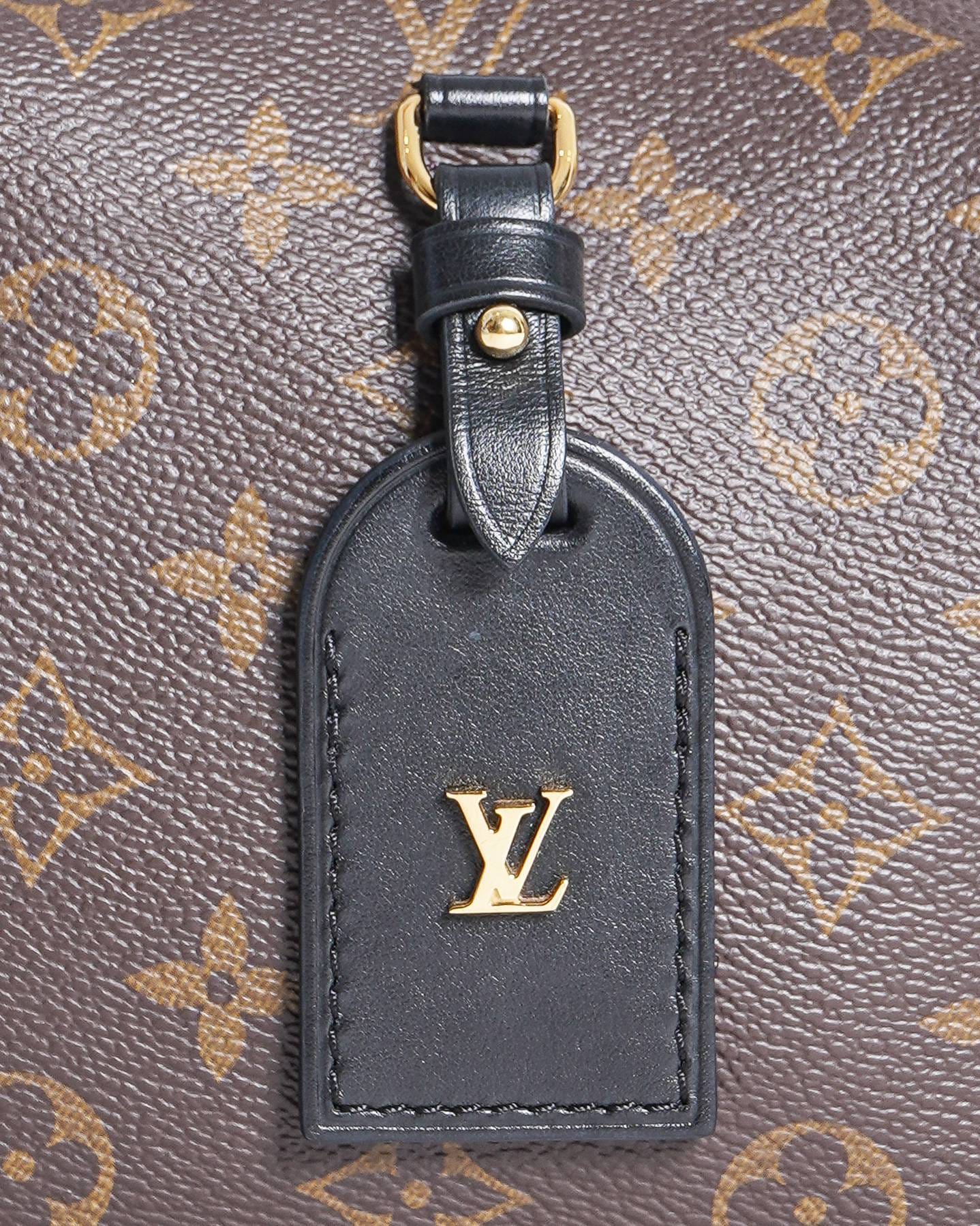 Louis Vuitton Monogram Canvas and Leather Petite Malle Souple Bag