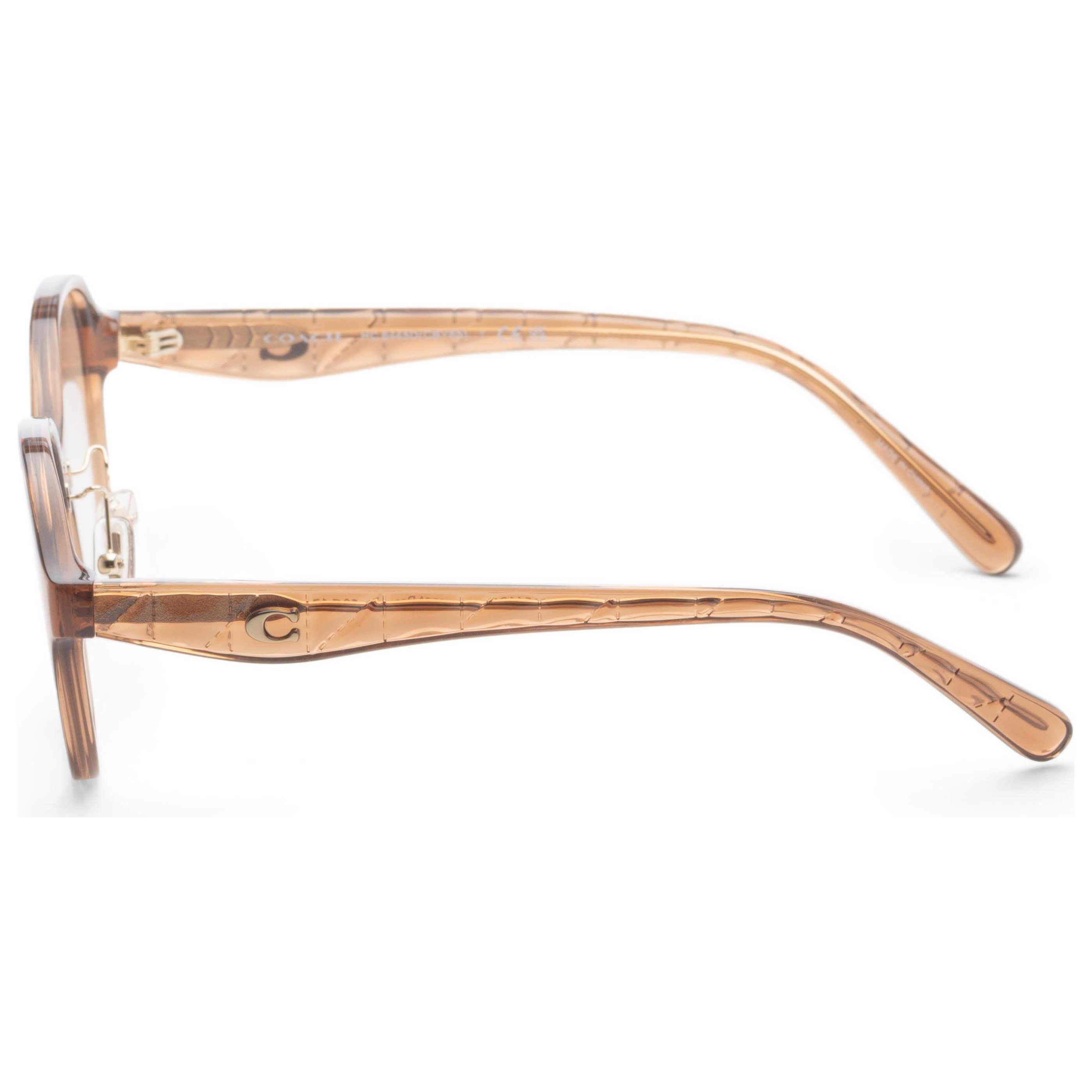 Coach Women's Sunglasses HC8445D - 565413 - 56