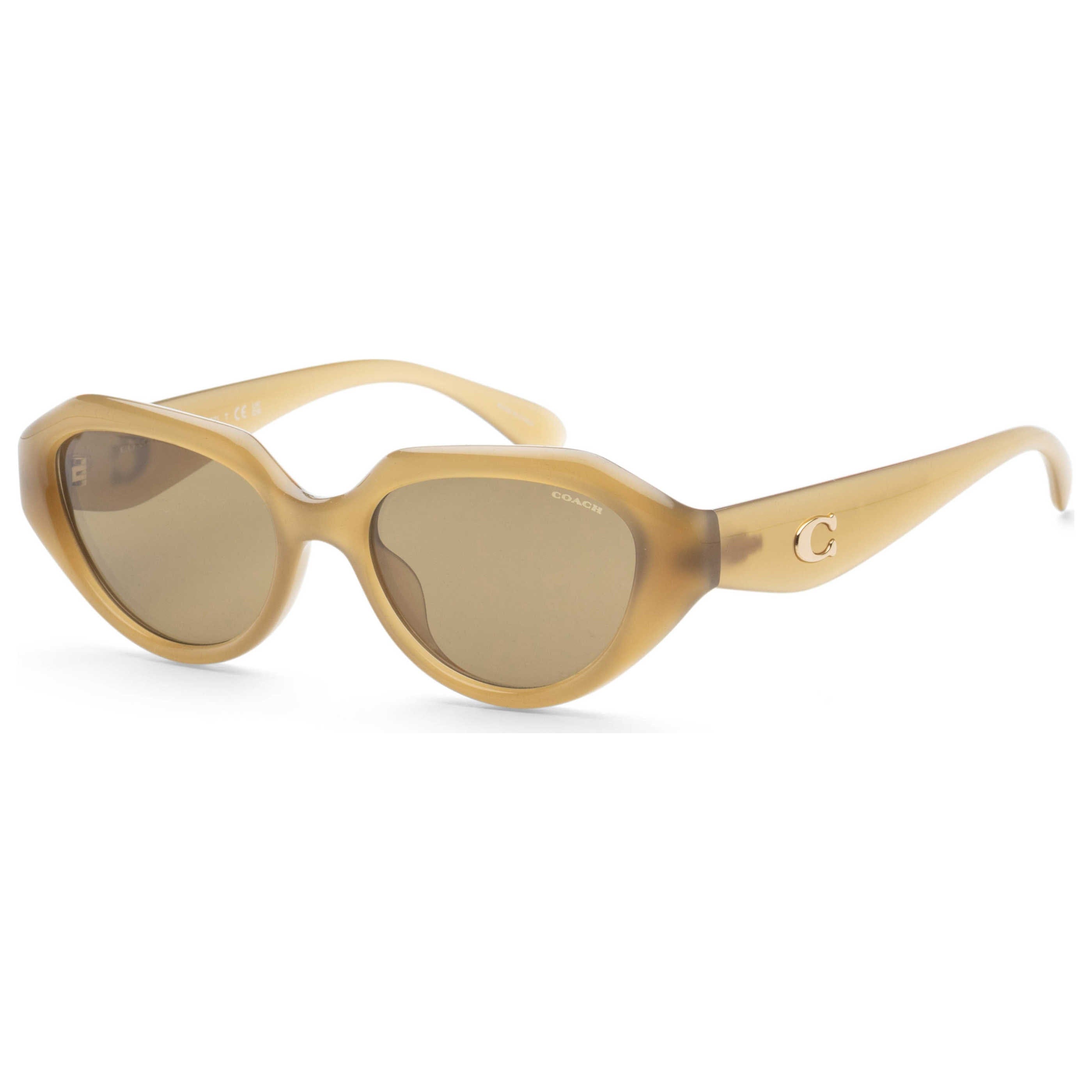 Coach Women's Sunglasses HC8433U - 590230 - 52