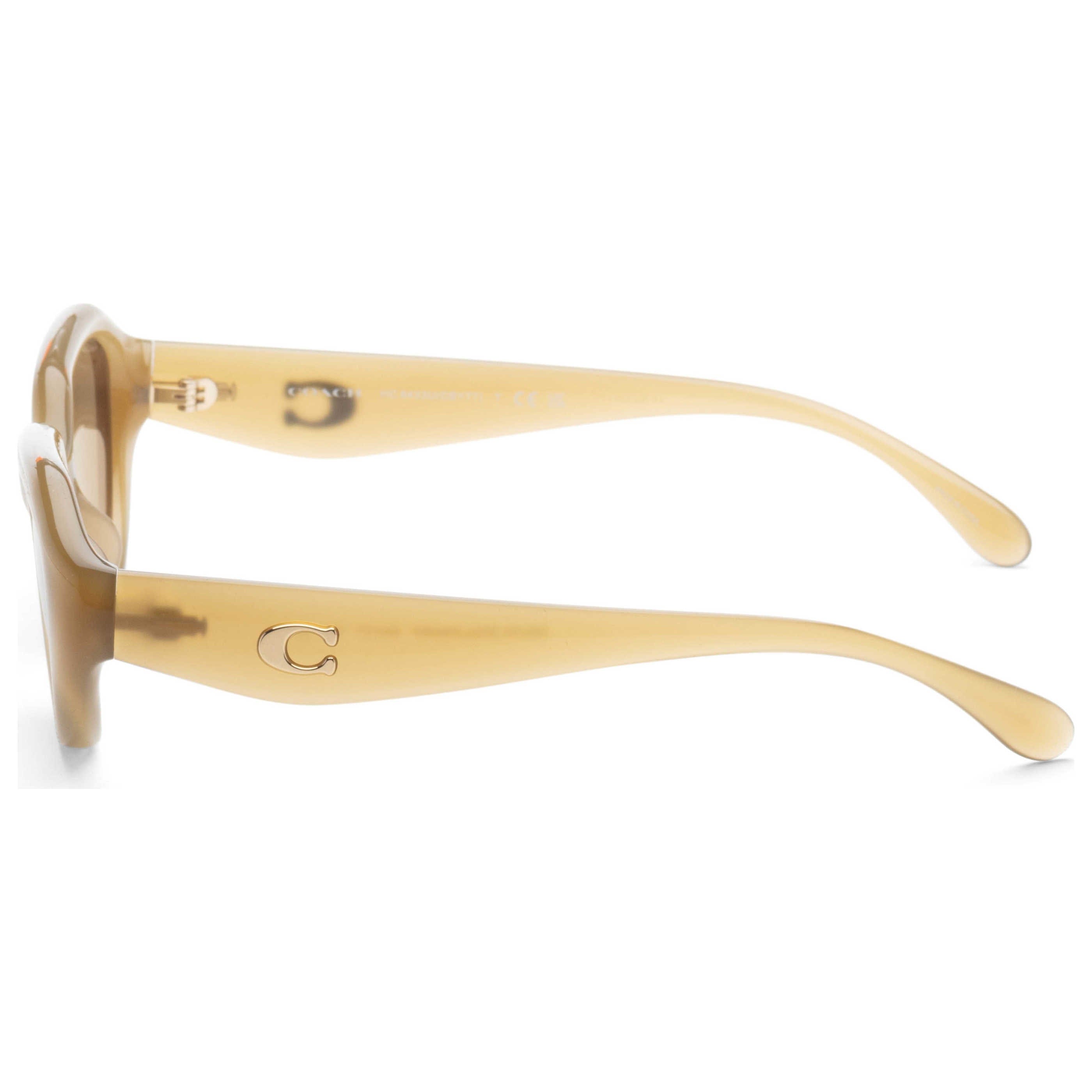 Coach Women's Sunglasses HC8433U - 590230 - 52