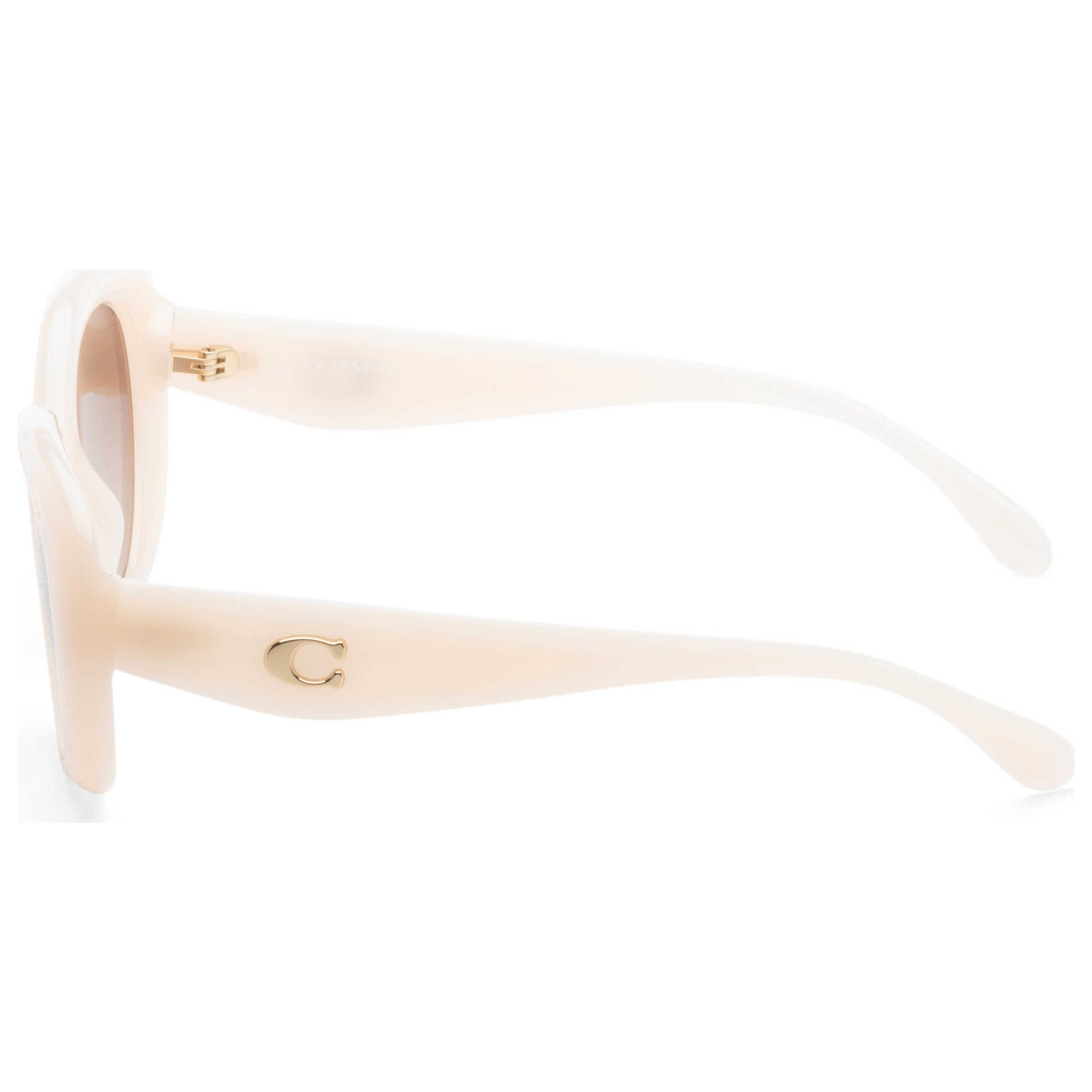 Coach Women's Sunglasses HC8391U - 580513 - 53