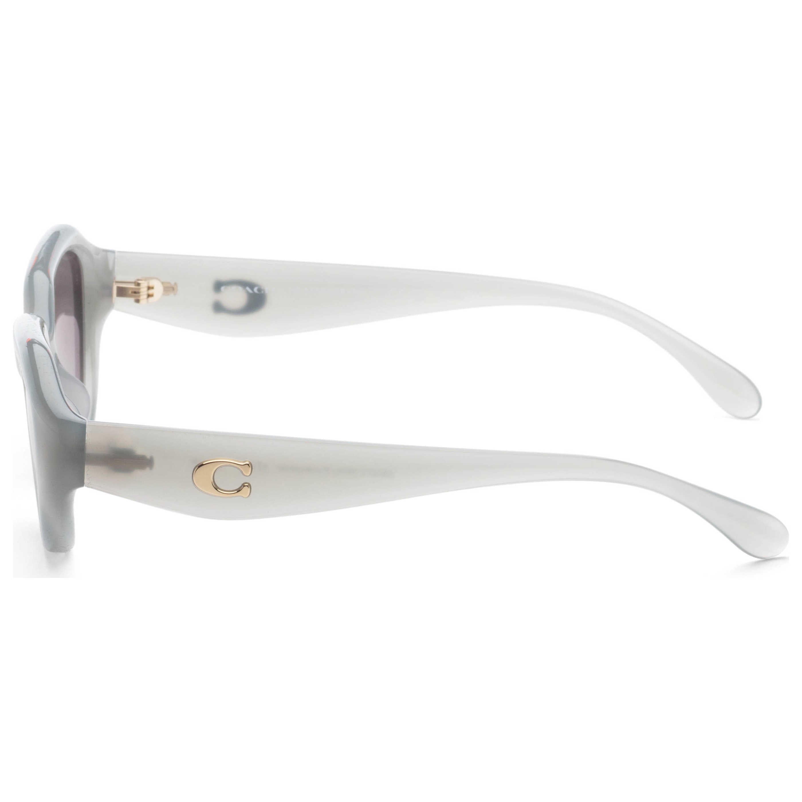 Coach Women's Sunglasses HC8433U - 5905T3 - 52