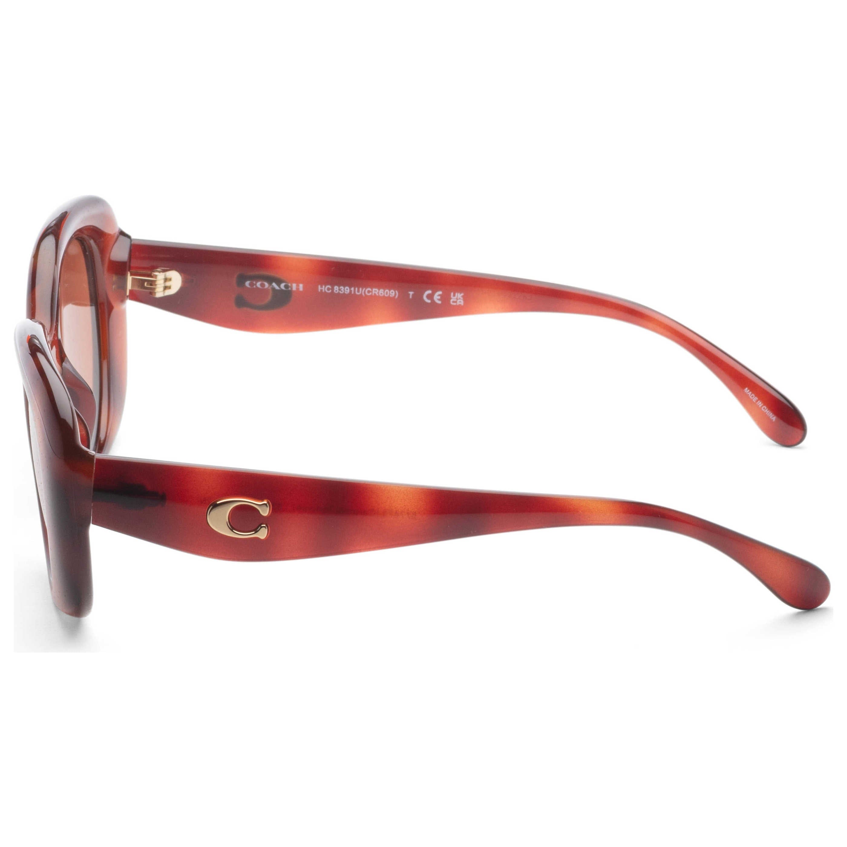 Coach Women's Sunglasses HC8391U - 577473 - 53