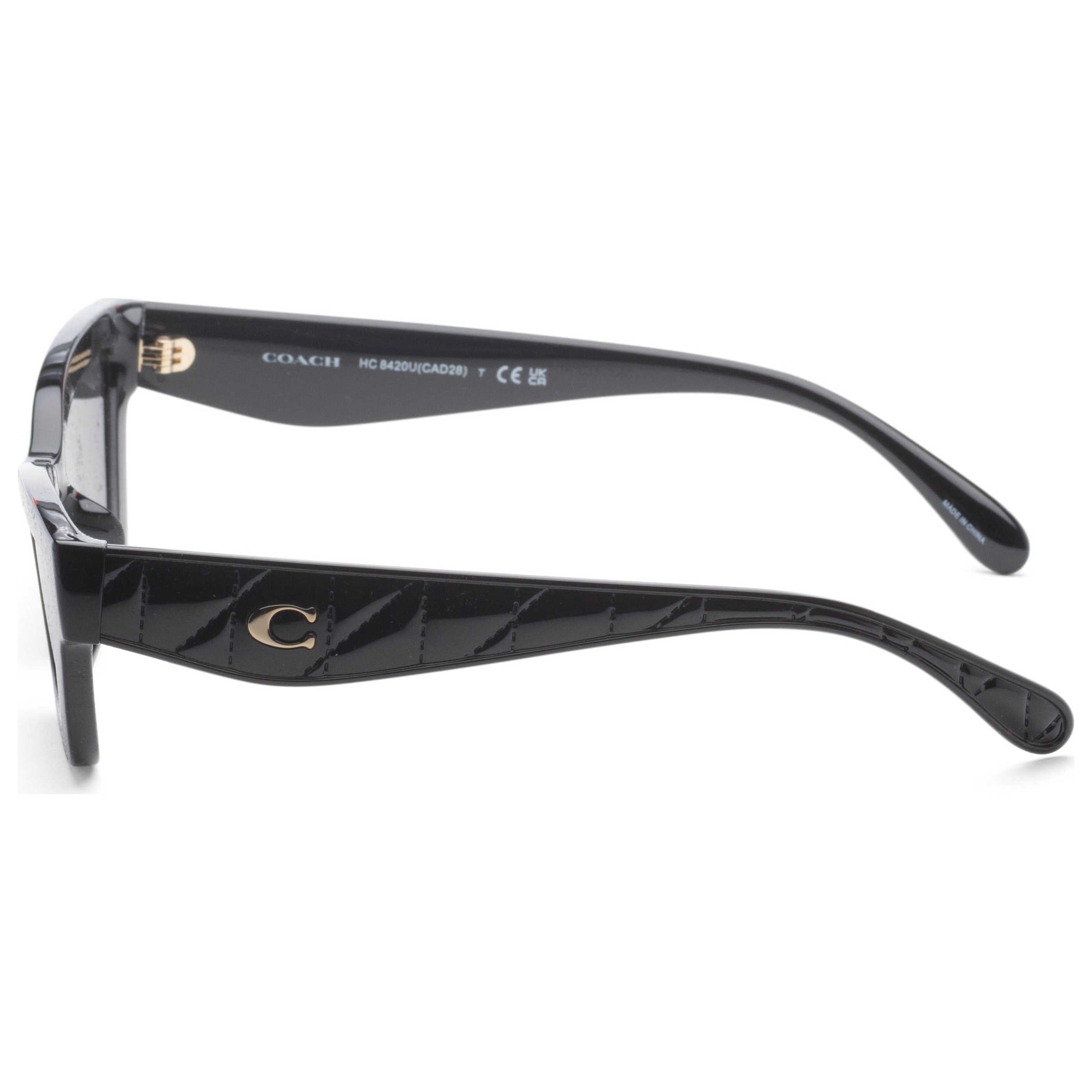 Coach Women's Sunglasses HC8420U - 500287 - 55