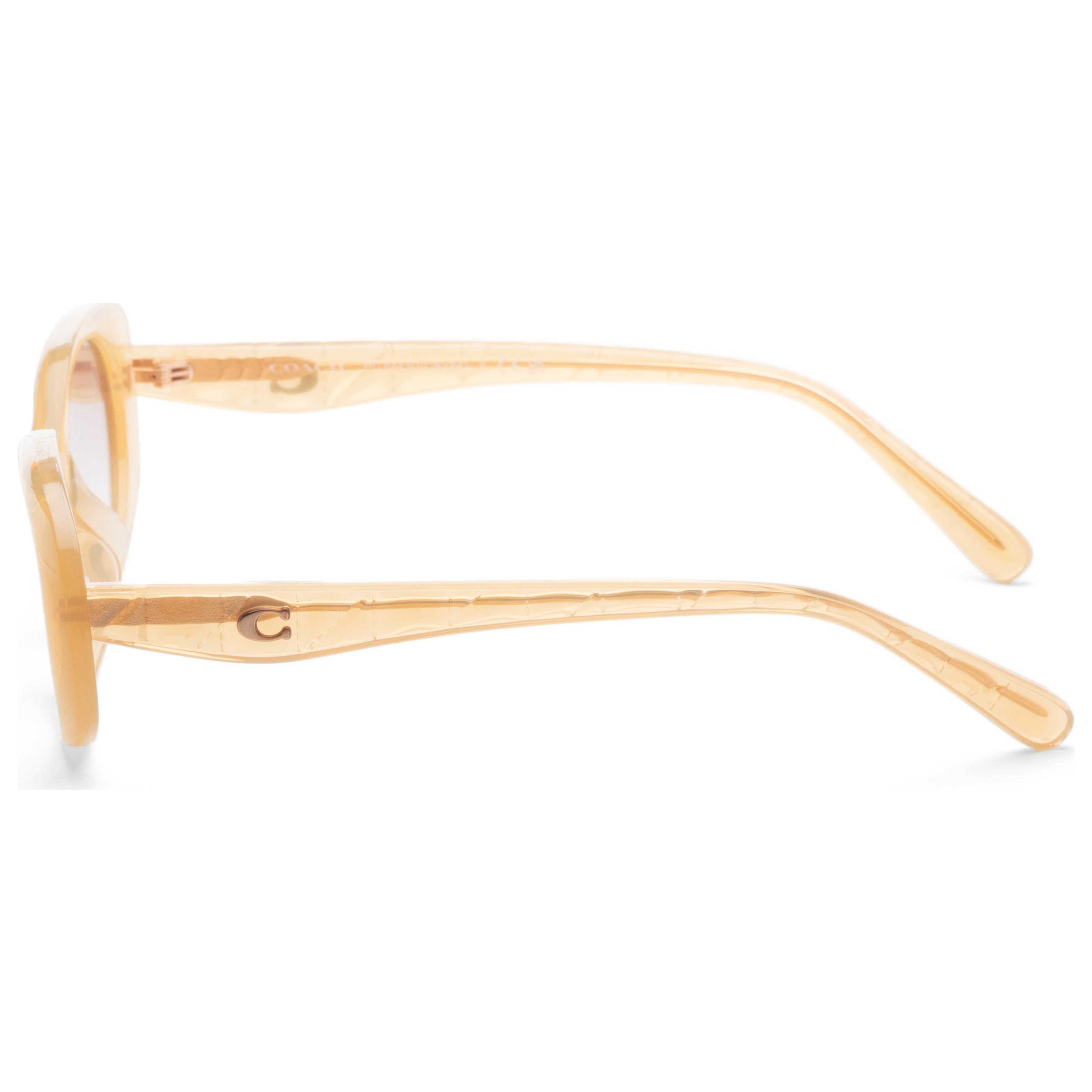 Coach Women's Sunglasses HC8443D - 591313 - 54