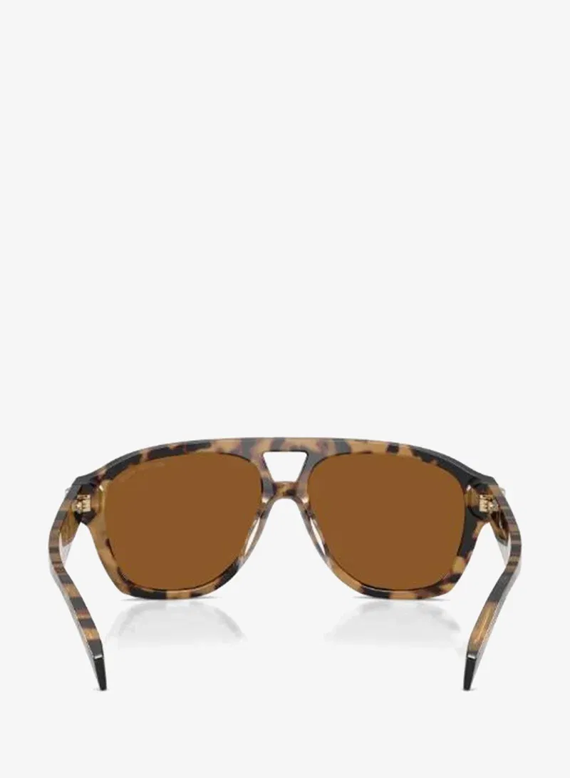 Michael Kors Cat Eye Sunglasses for Women | Best Price UAE