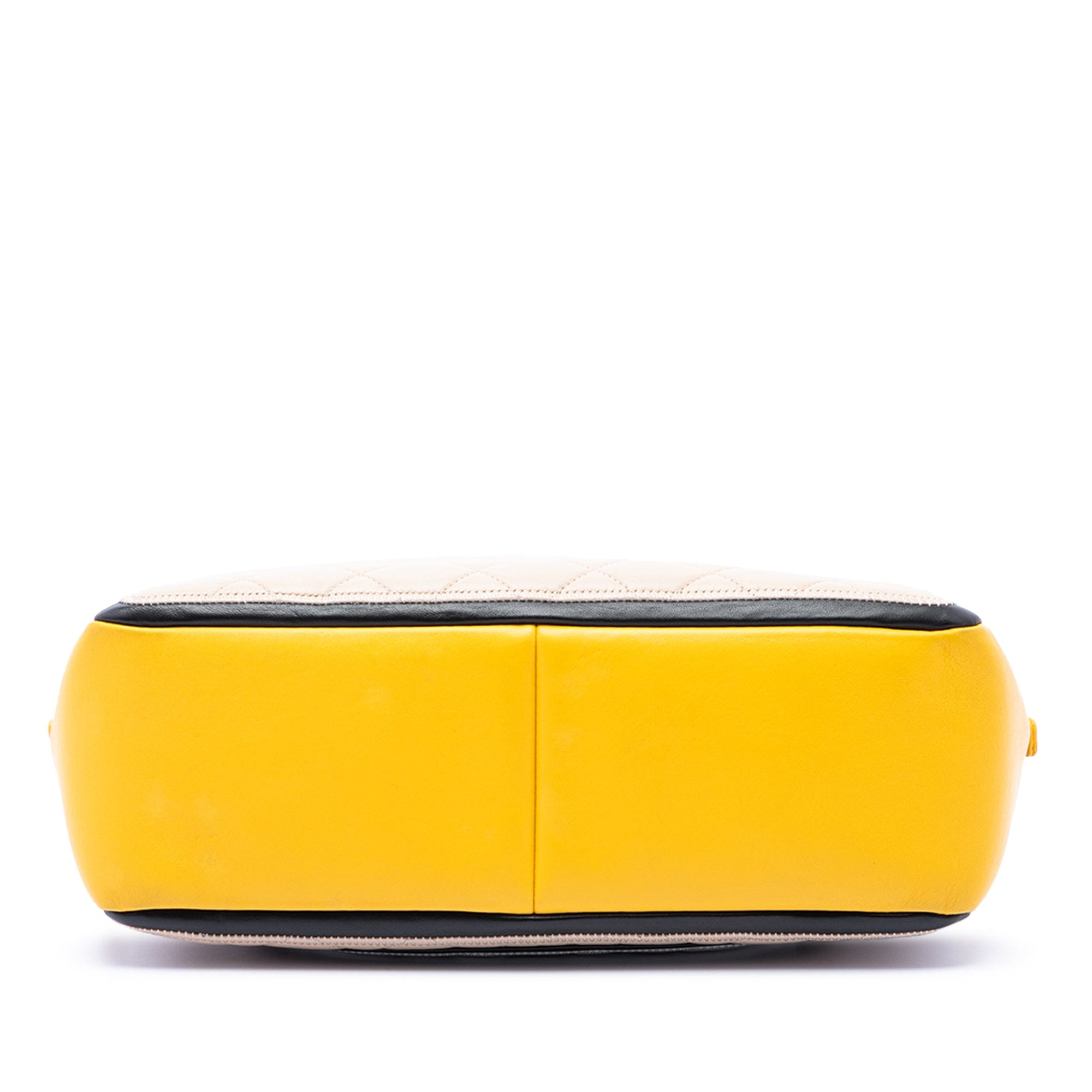 Chanel Tricolor Quilted Lambskin Graphic Camera Case Bag