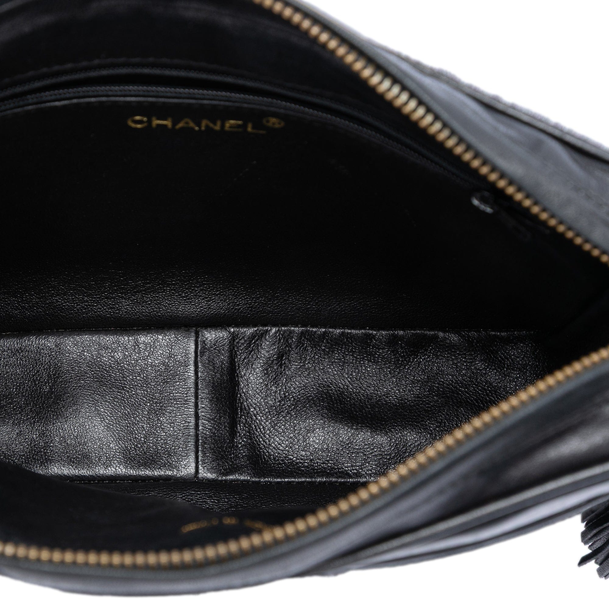 Chanel CC Ponyhair and Leather Tassel Camera Bag