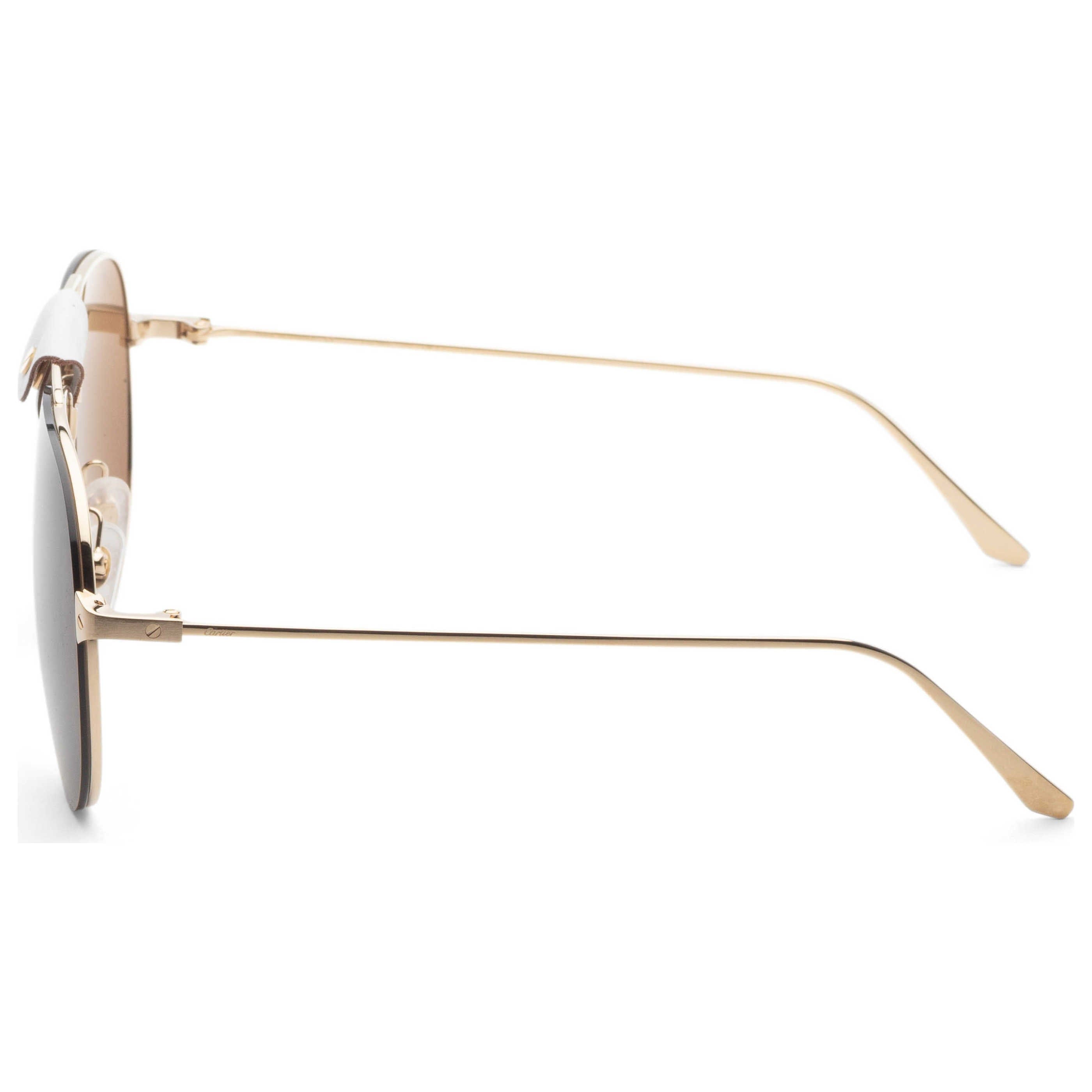 Cartier Unisex Sunglasses CT0166S - 010