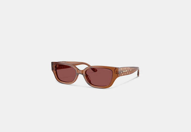 Coach Charms Narrow Rectangle Sunglasses