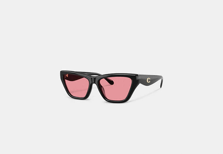 Coach C Hardware Cat Eye Sunglasses