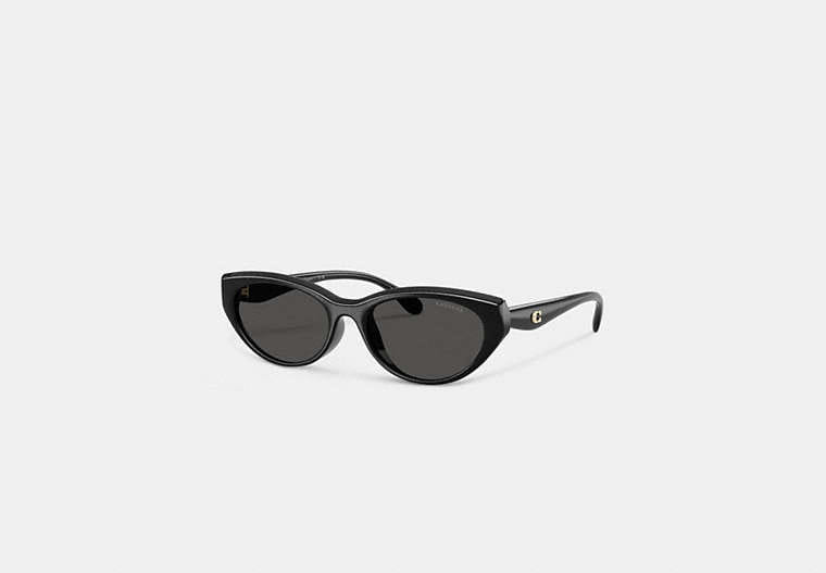 Coach C Hardware Oval Cat Eye Sunglasses