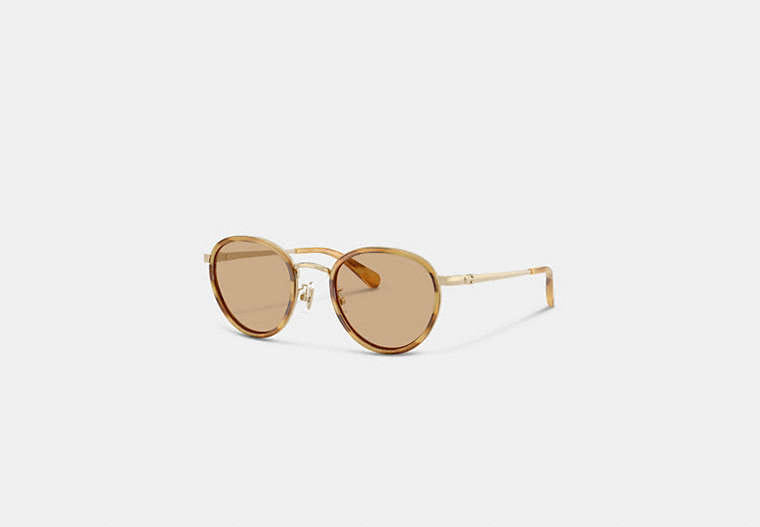 Coach Chunky Narrow Rectangle Sunglasses