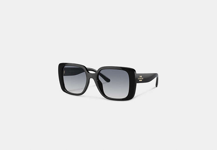 Coach Oversized Square Sunglasses