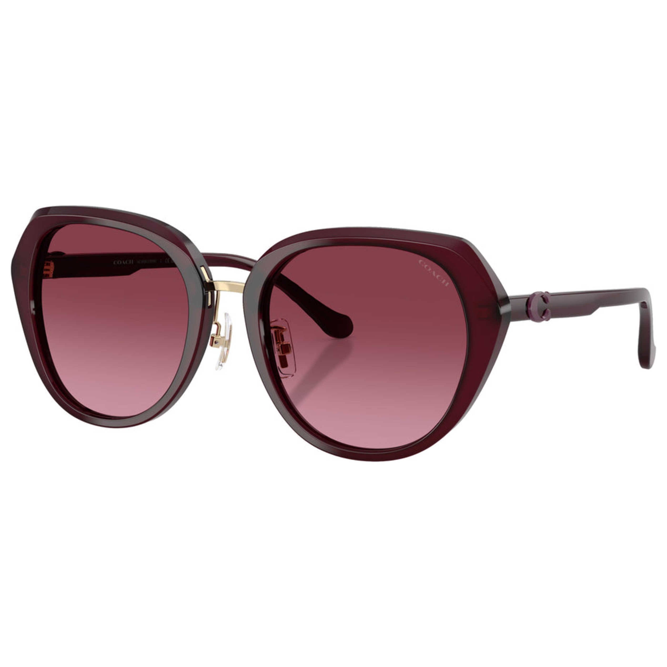 Coach Women's Sunglasses HC8436 - 59158H - 55