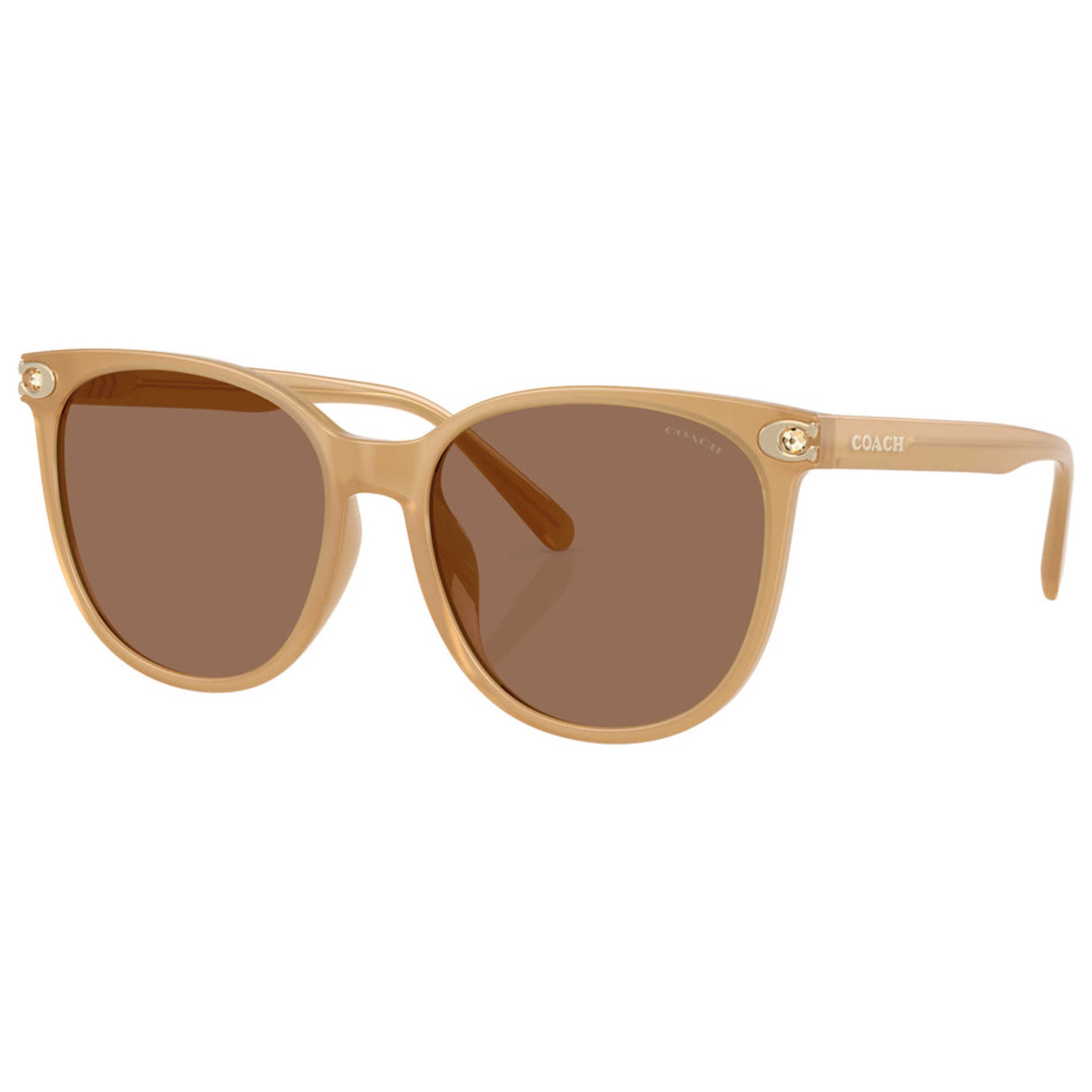 Coach Women's Sunglasses HC8414BD - 585473 - 57