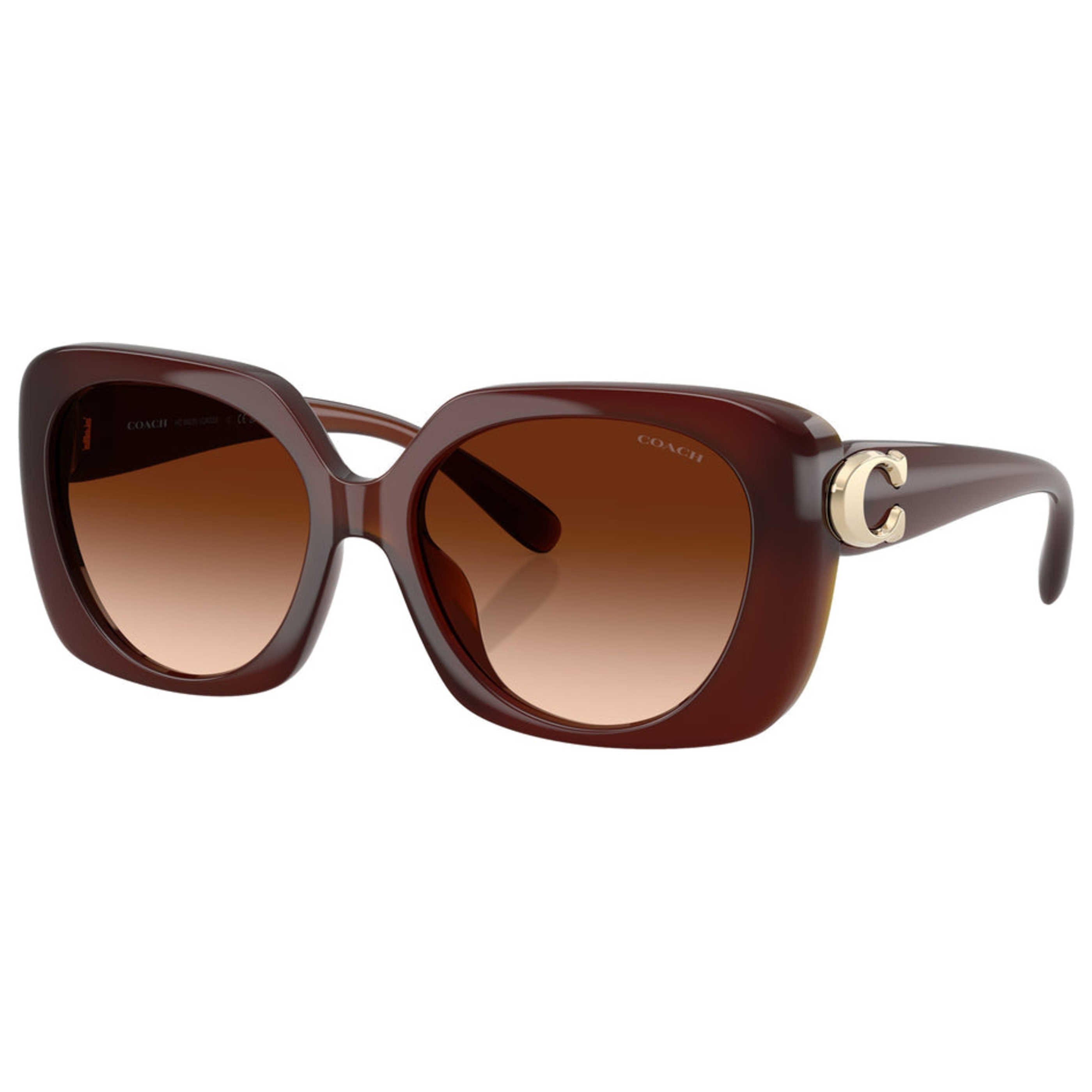 Coach Women's Sunglasses HC8422U - 584174 - 55